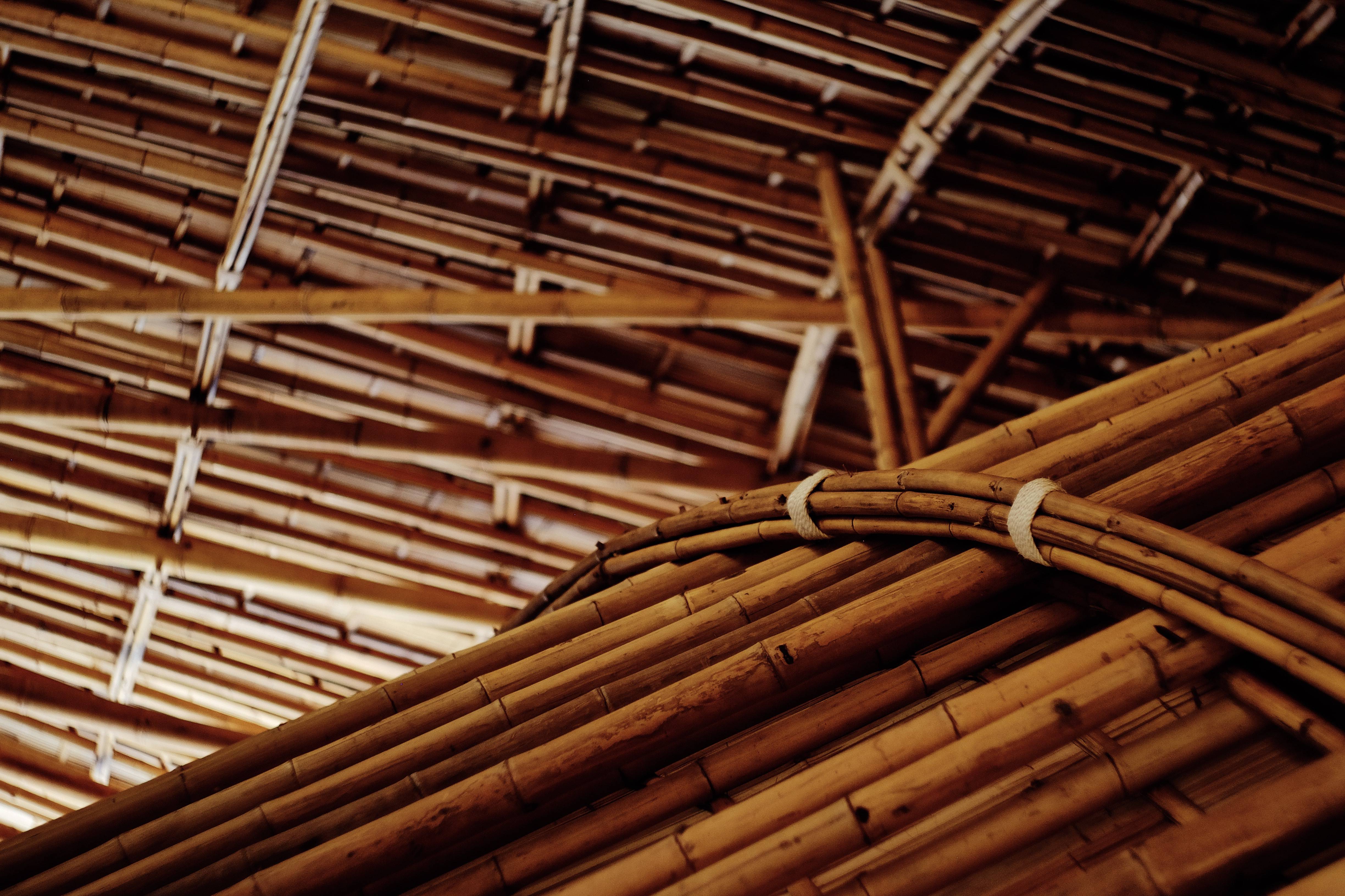 Ecofriendly Bamboo Production › Grants Programme SWITCHAsia