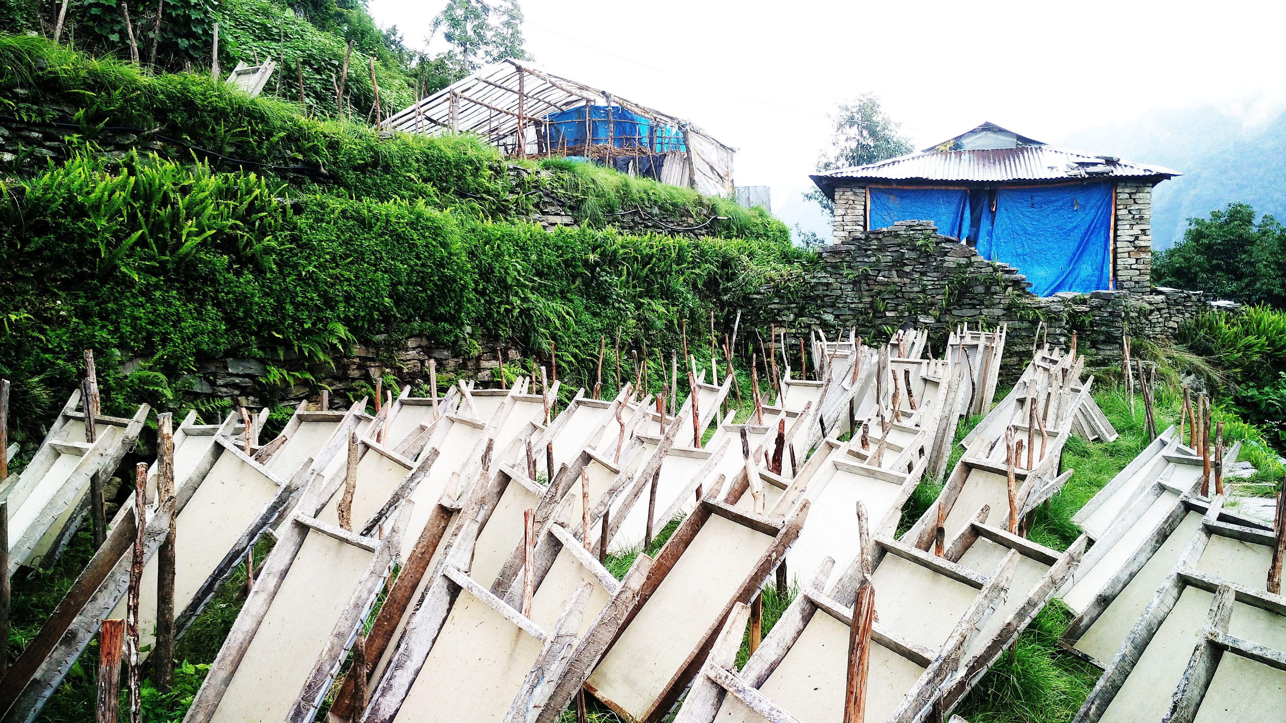 Lokta Handmade Paper › Grants Programme SWITCHAsia