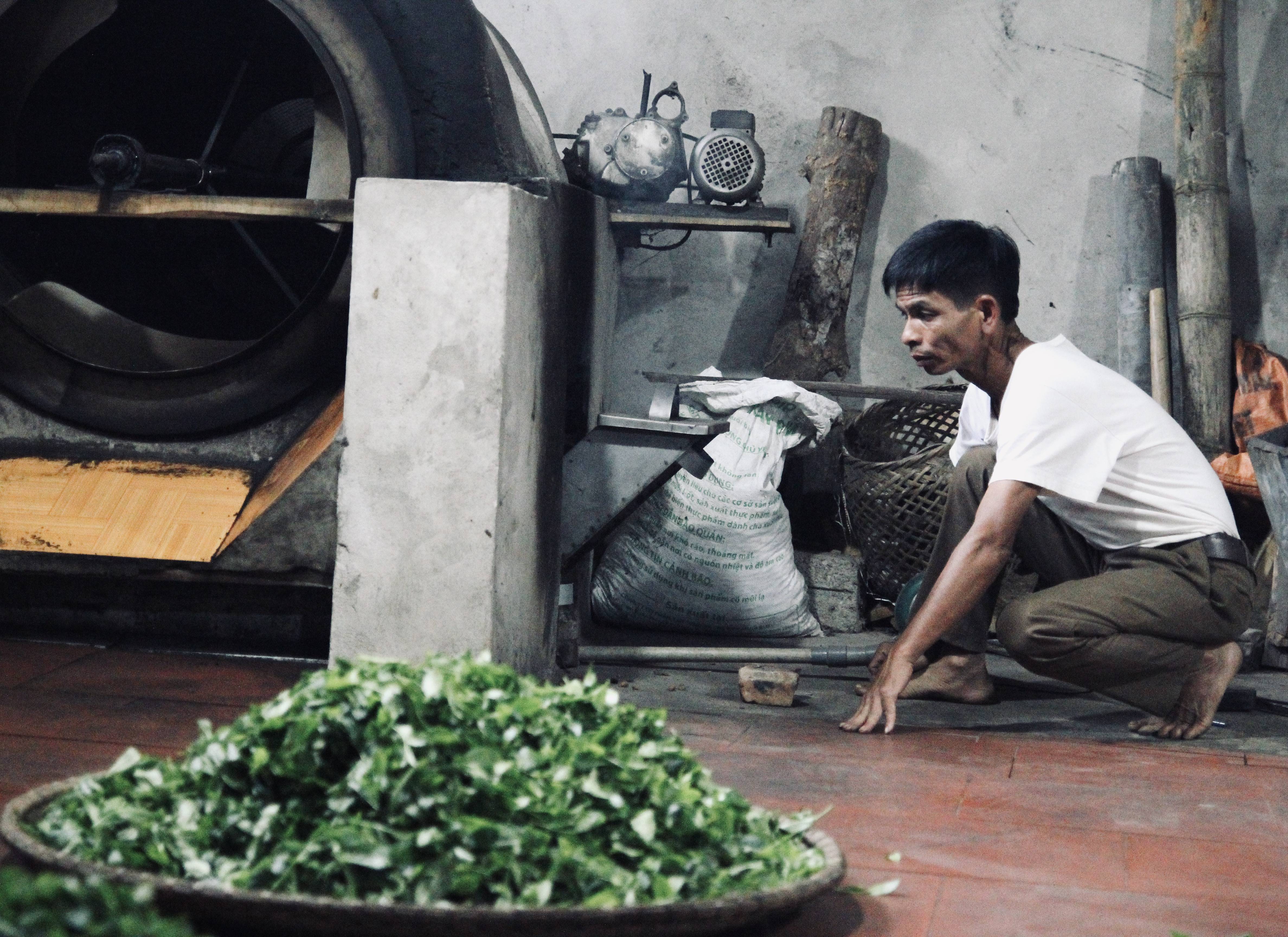 Biomass Gasification Technology (BEST)