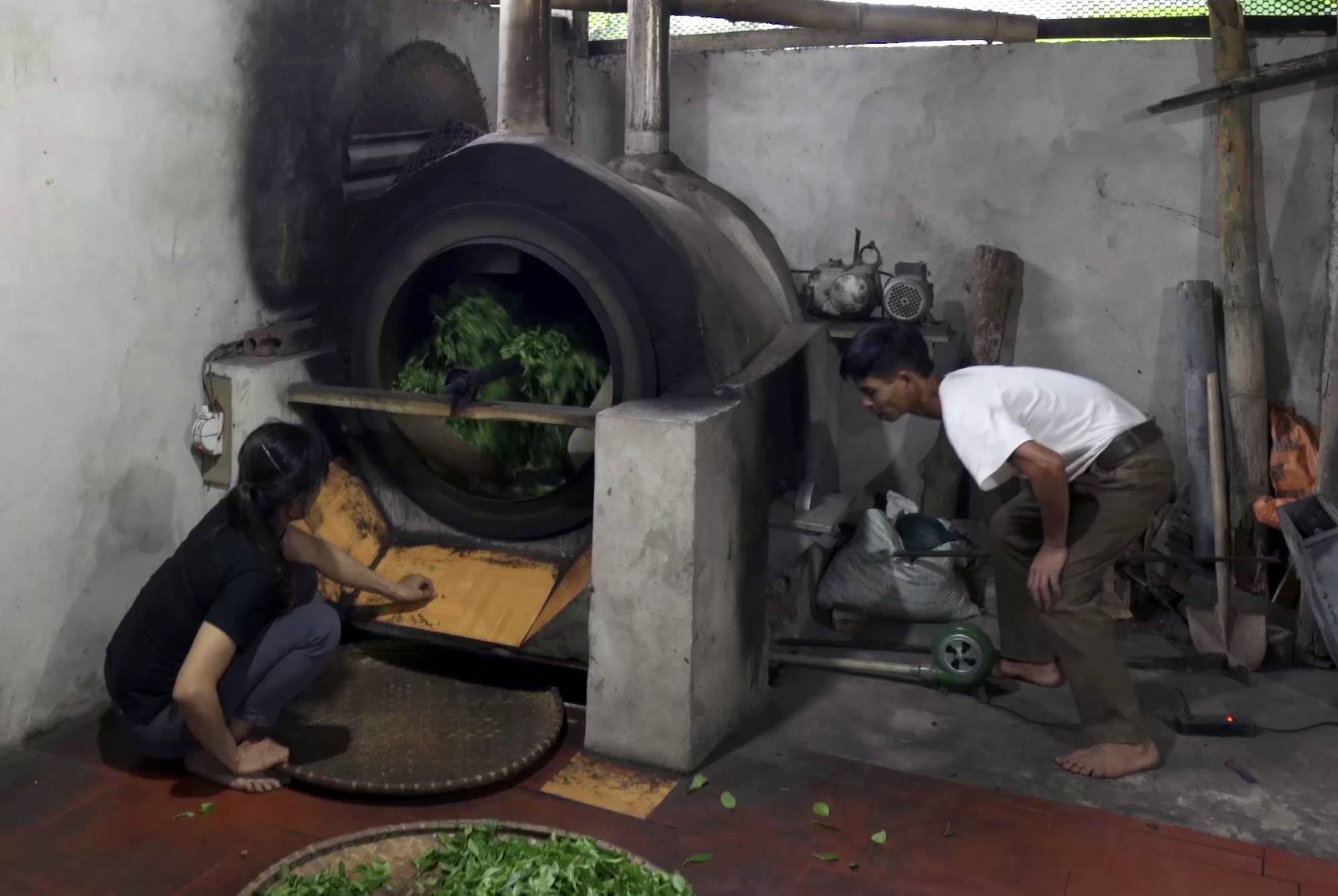 Biomass Gasification Technology (BEST)