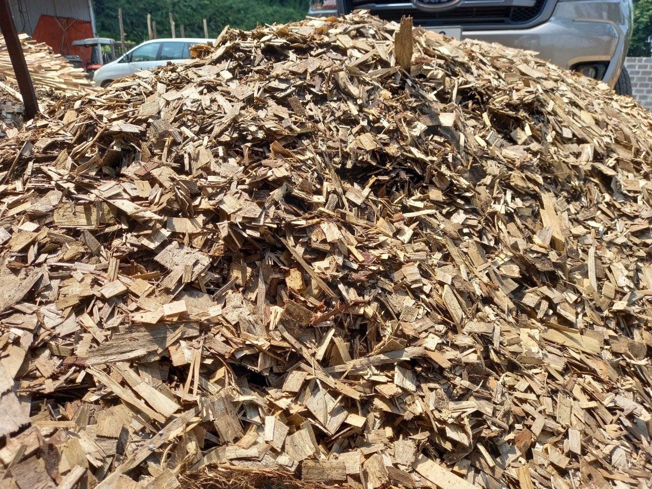 Biomass Gasification Technology (BEST)