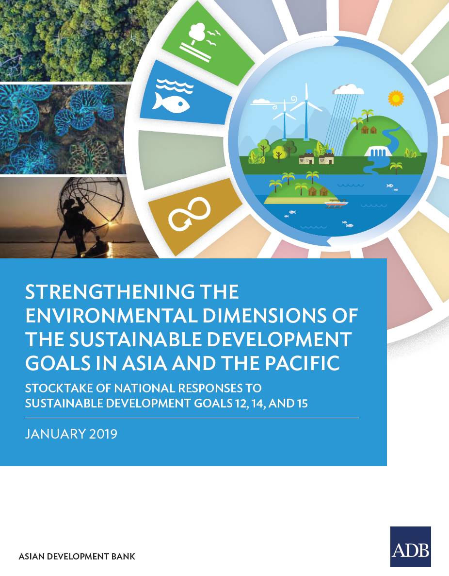 Strengthening the Environmental Dimensions of the SDGs in Asia and the Pacific - Stocktake