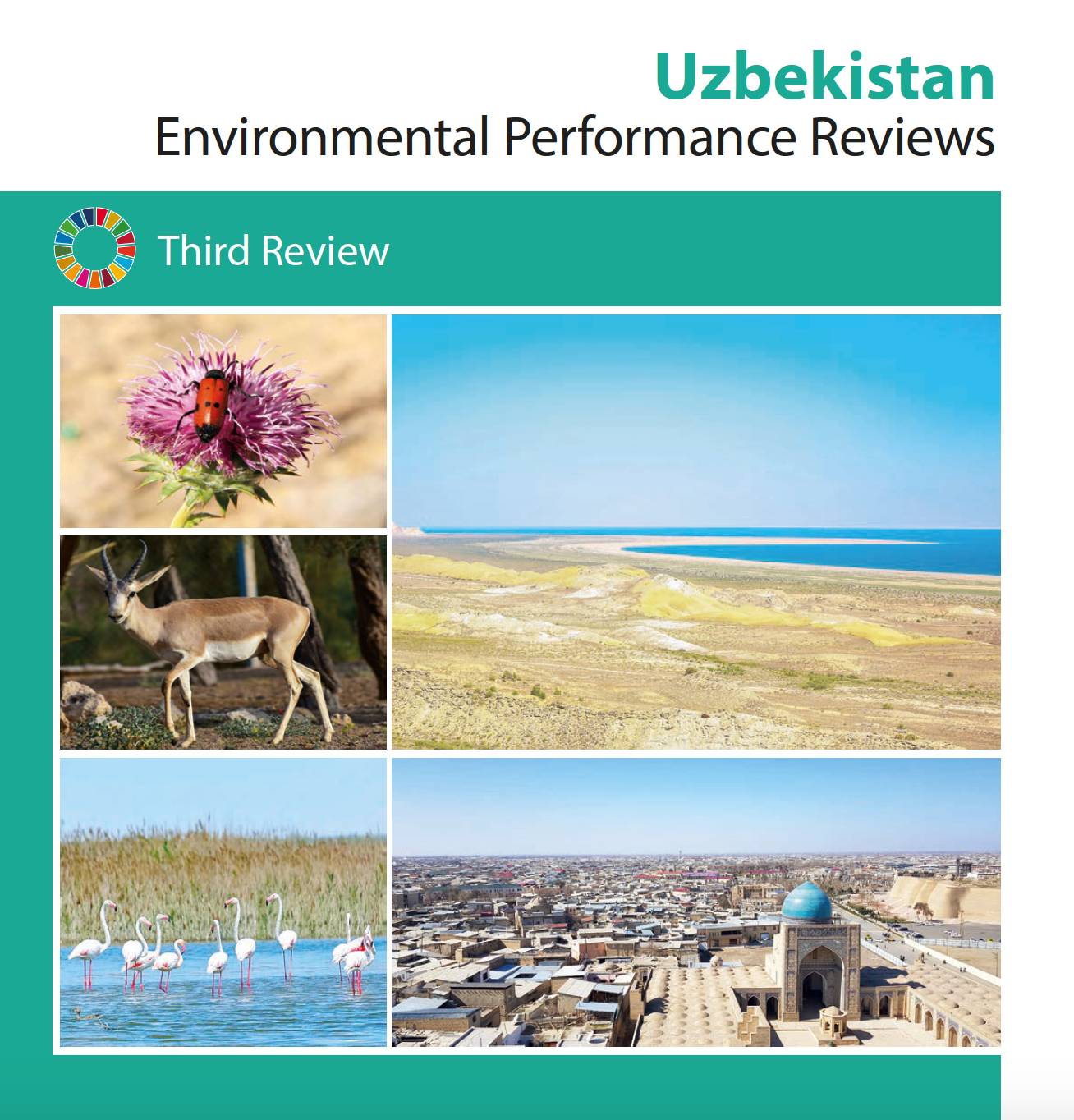Uzbekistan Environmental Performance Review