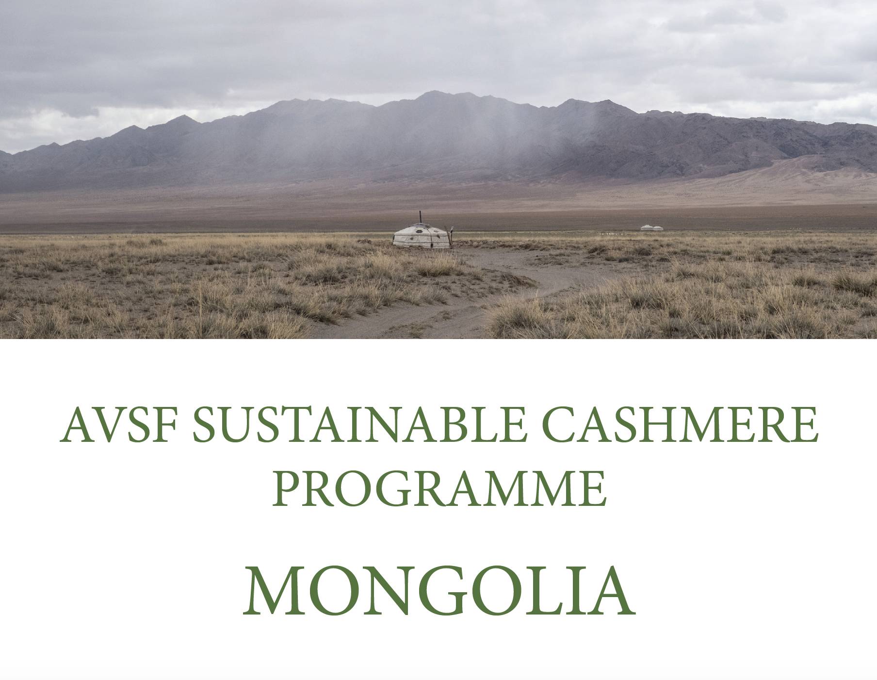 AVSF SUSTAINABLE CASHMERE PROGRAMME