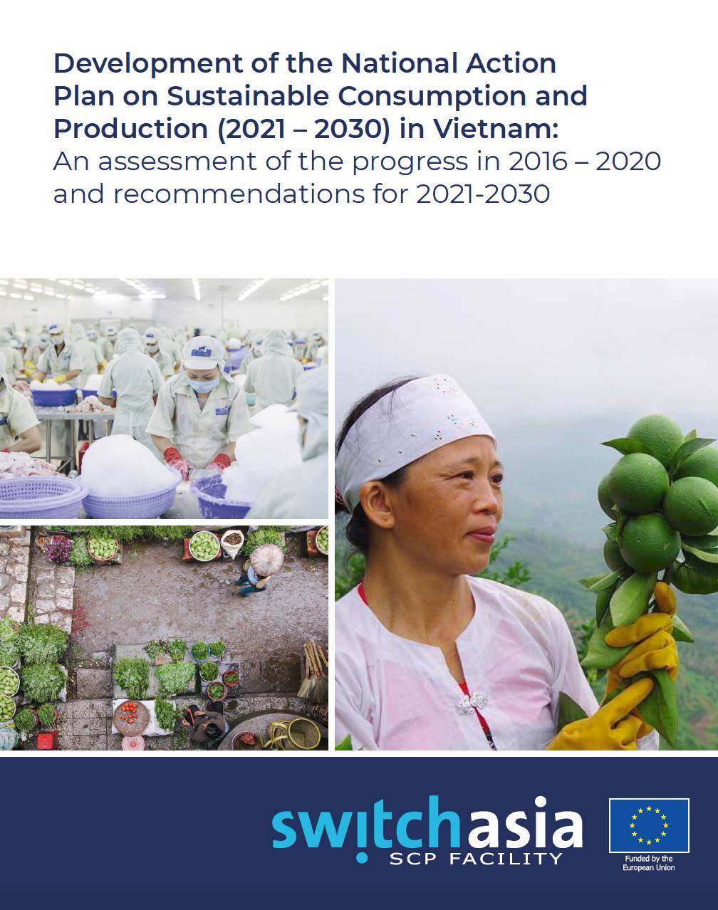 Assessment of SCP Progress in Vietnam (2016-2020)