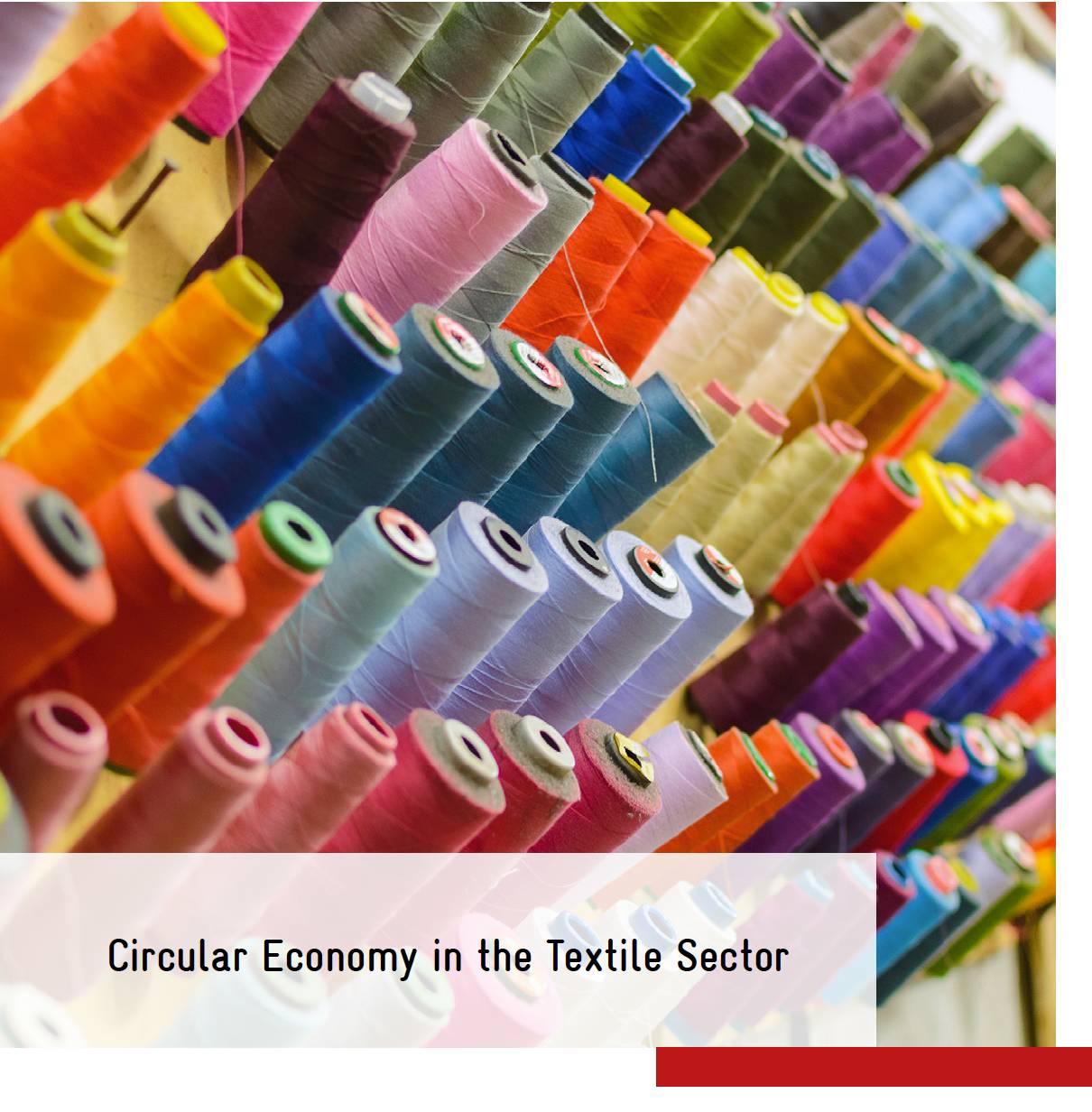 Circular Economy in the Textile Sector