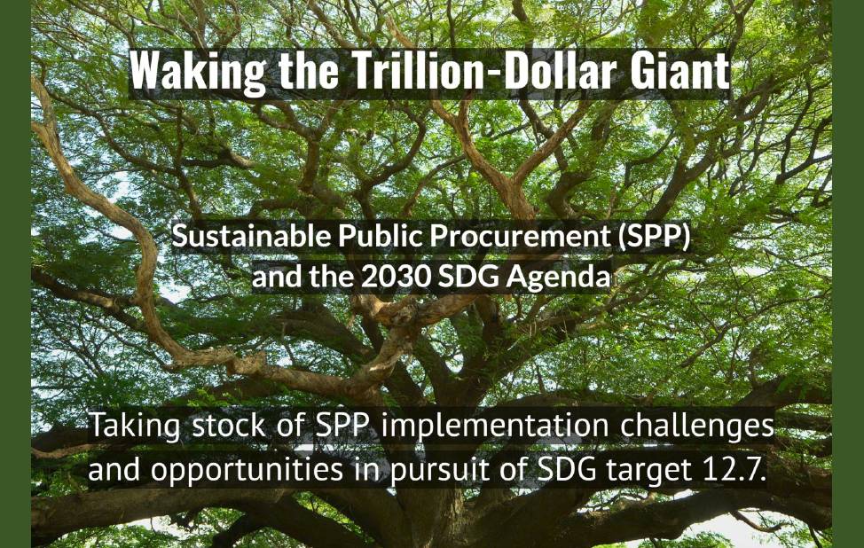 SPP and the 2030 SDG Agenda