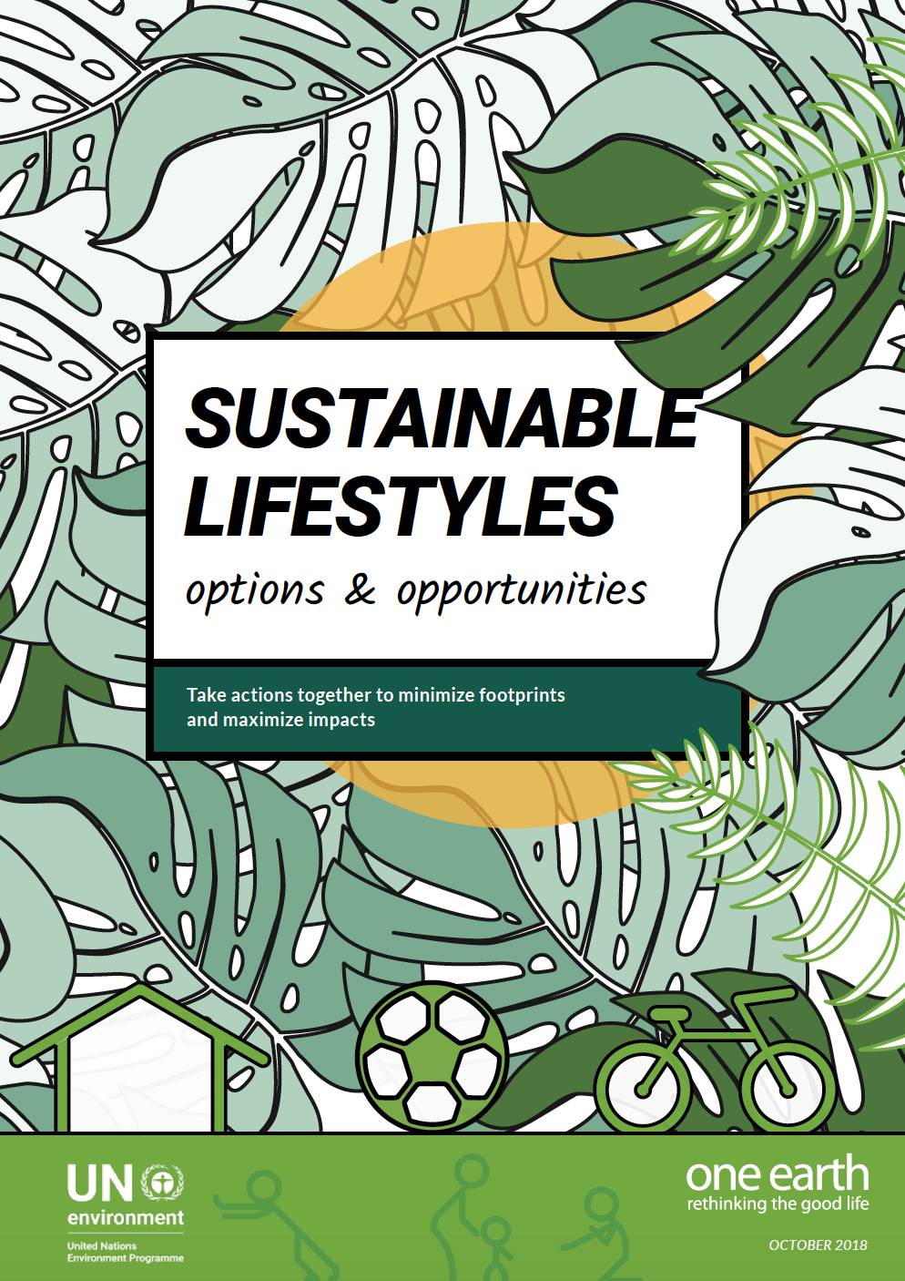 Sustainable Lifestyles: Options and Opportunities