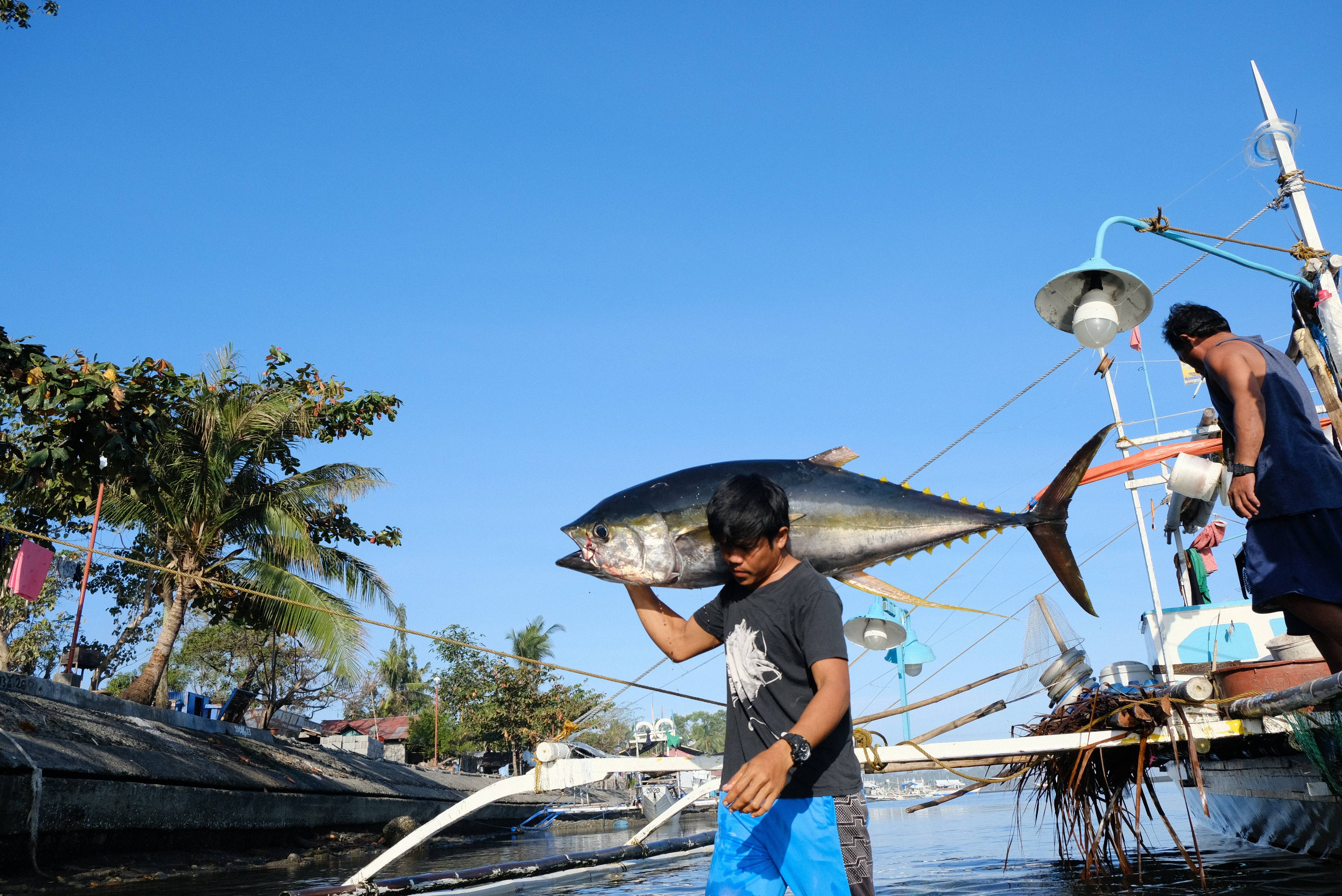 Mindoro Strait Sustainable and Equitable Tuna for Bankability (MS-SETB)