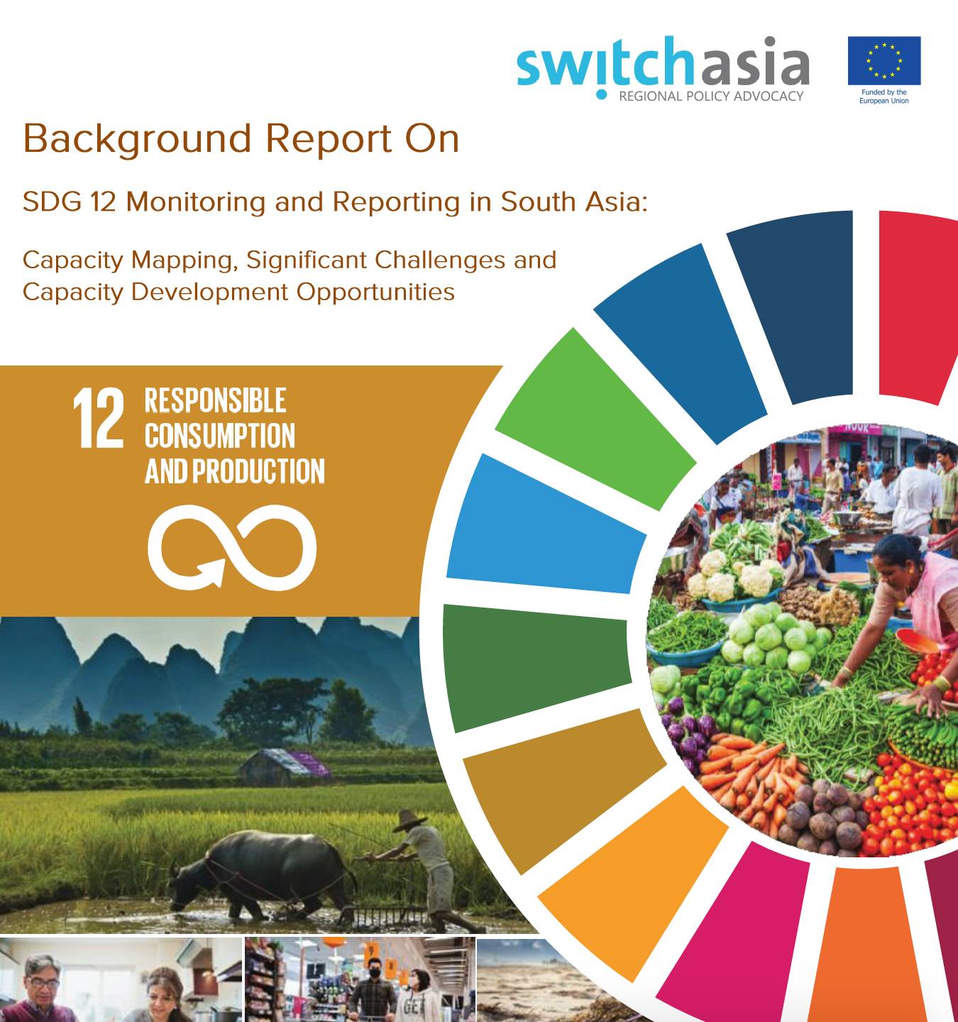 SDG 12 Monitoring and Reporting in South Asia