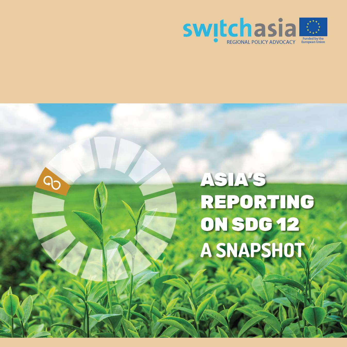 Asia's Reporting on SDG12