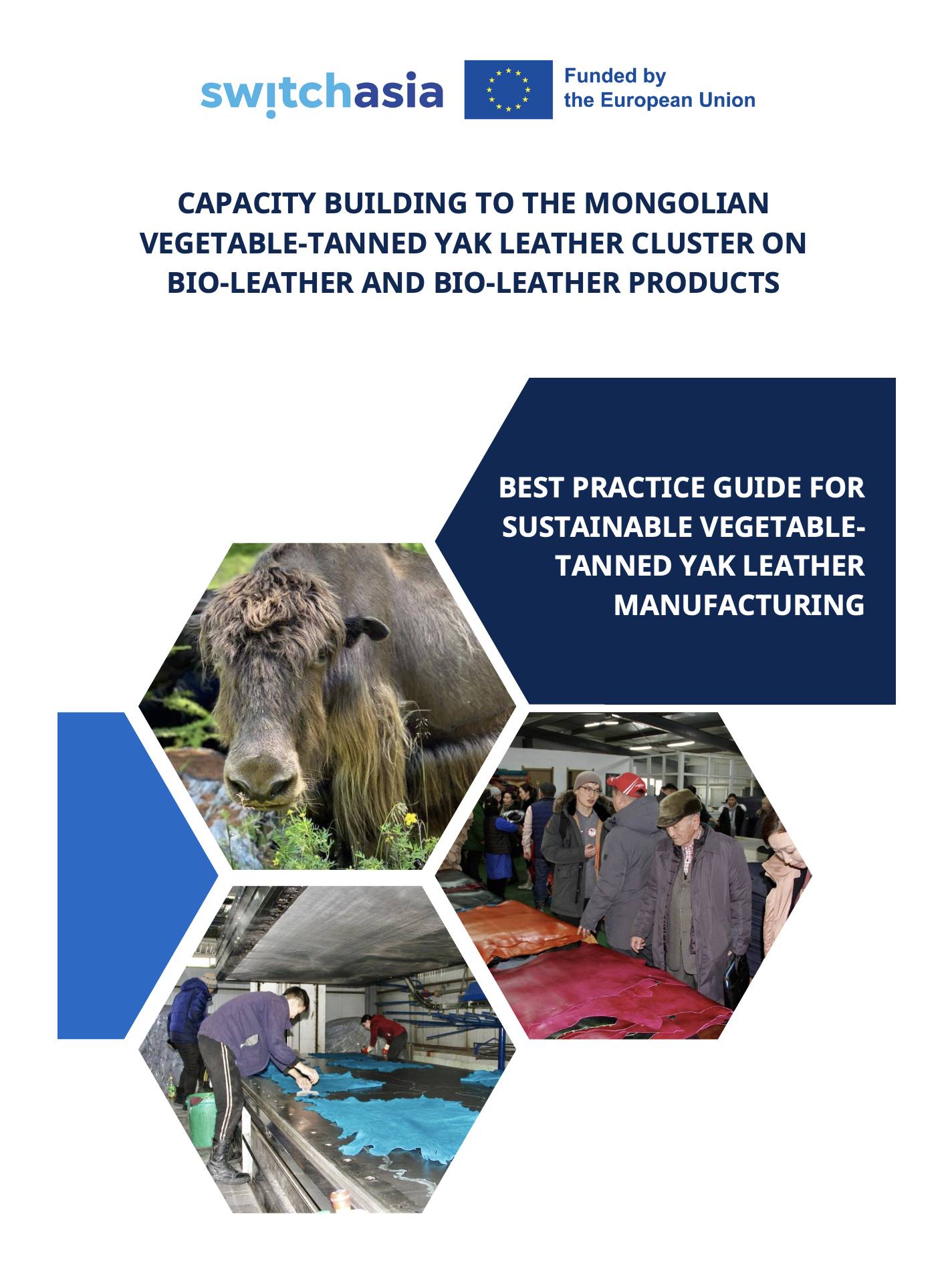 Best Practice Guide for Sustainable Vegetable-Tanned Yak Leather Manufacturing (EN)