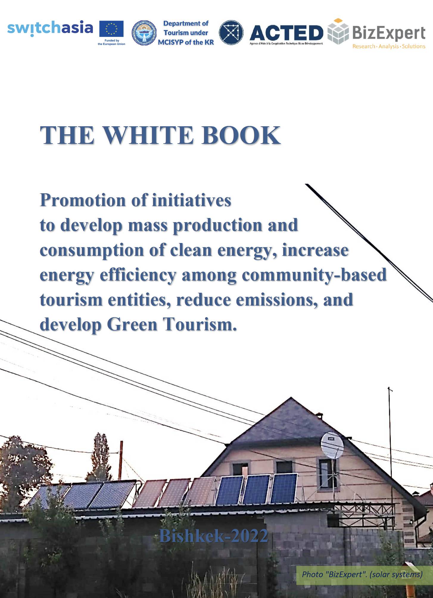 The White Book: Promotion of initiatives to develop mass production and consumption of clean energy,...