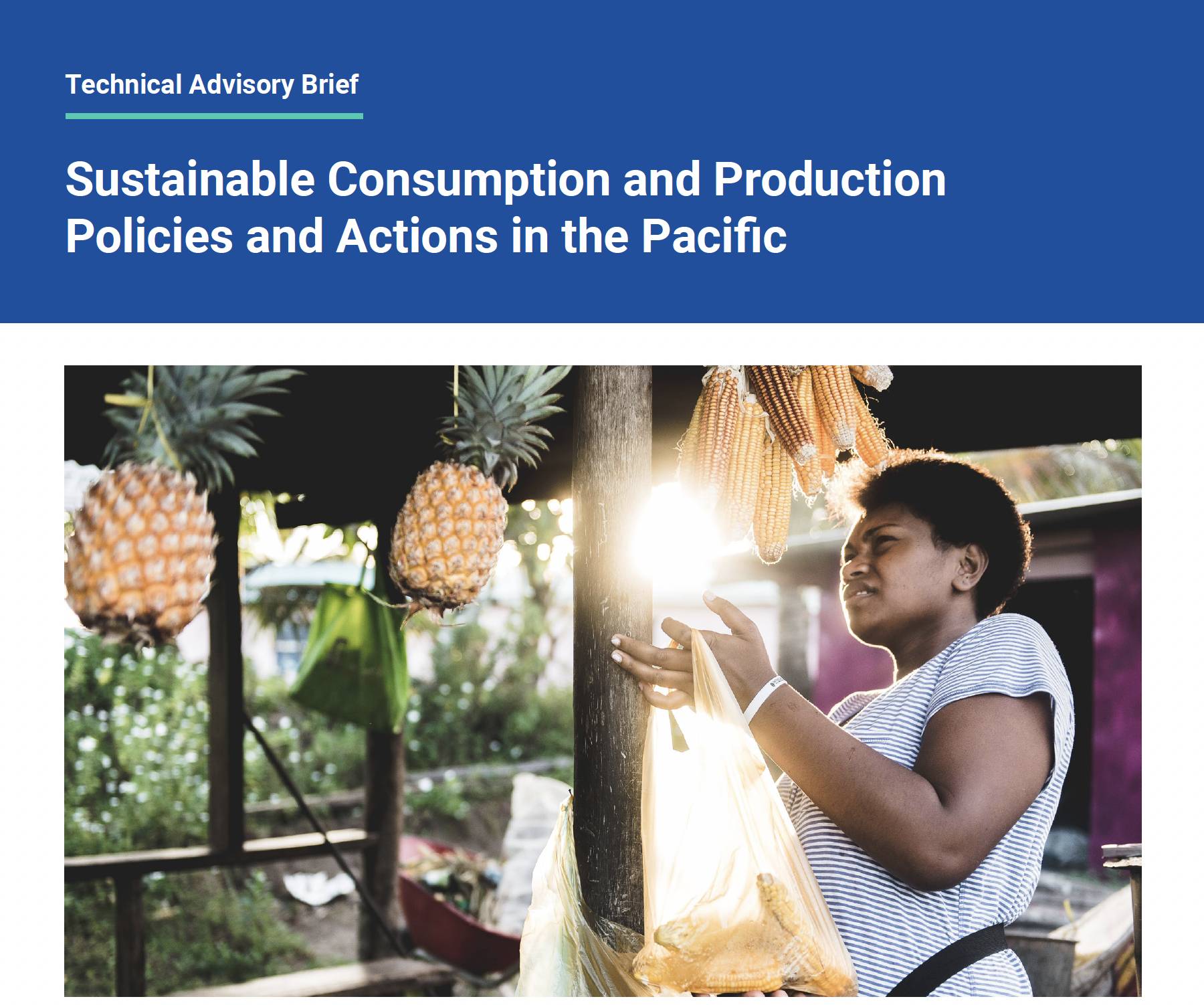 Sustainable Consumption and Production Policies and Actions in the Pacific