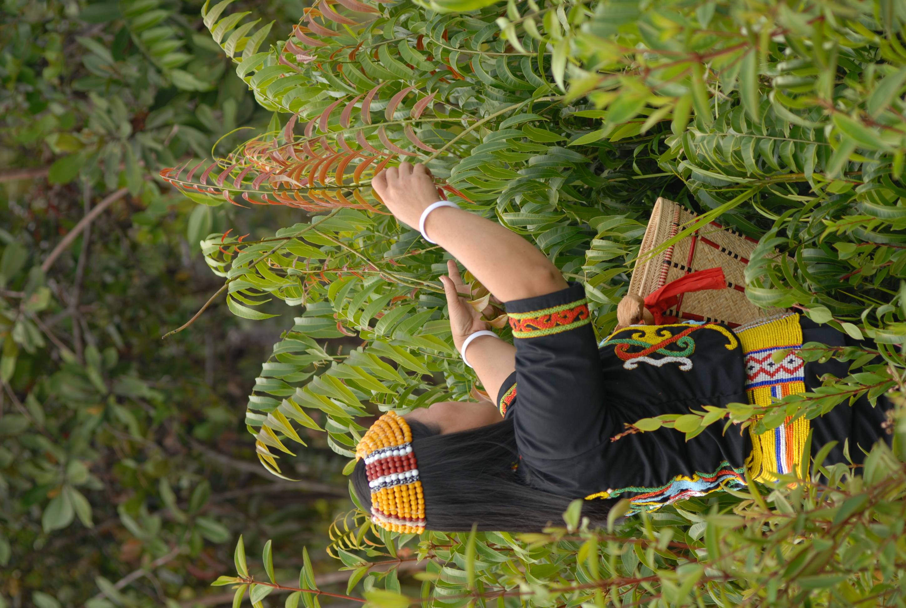 Local Harvest