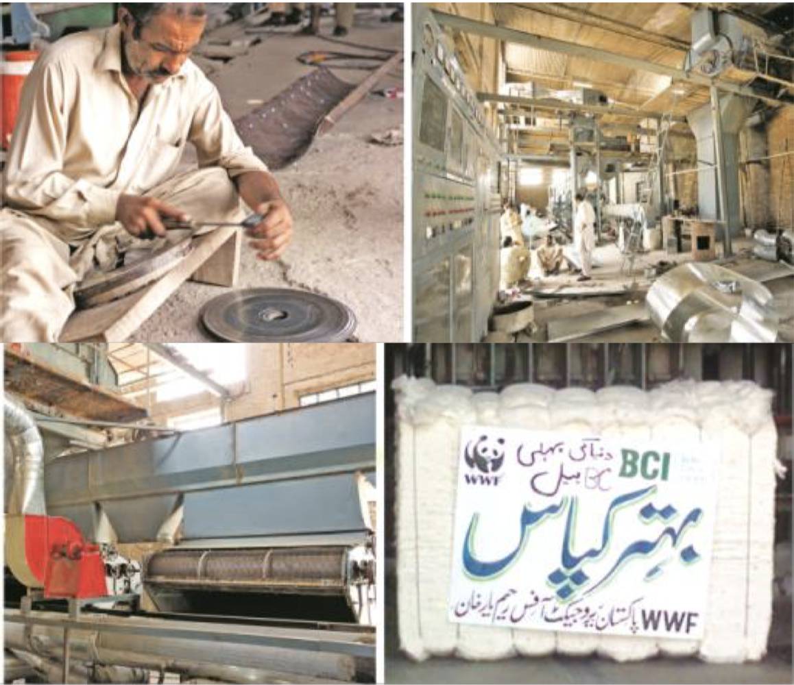 SWITCH-Asia SPRING Project: Sustainable Cotton Production in Pakistan’s Cotton Ginning SMEs