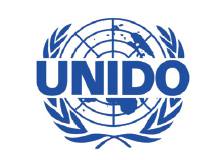 United Nations Industrial Development Organization (UNIDO)