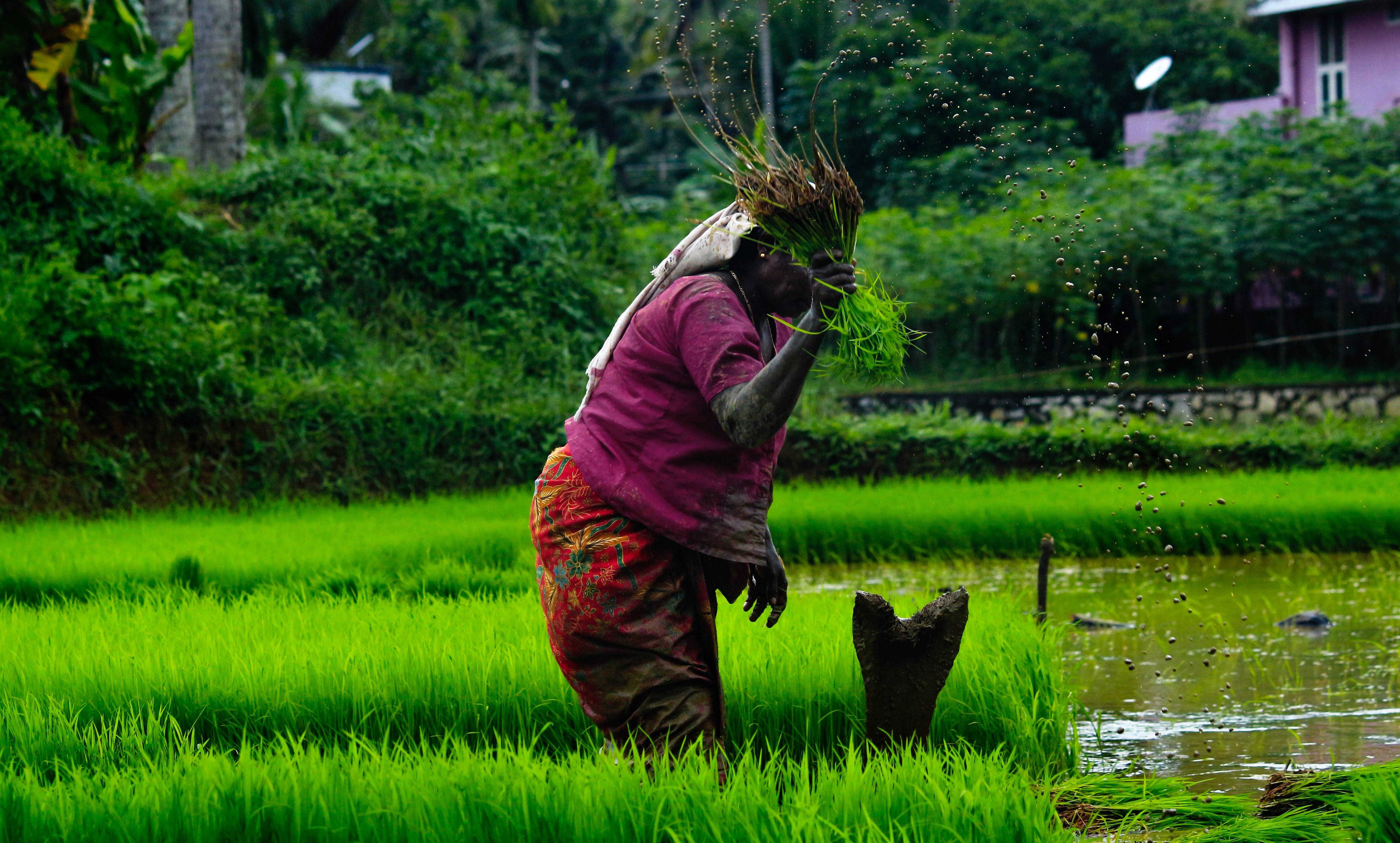 Agribusiness Access to finance