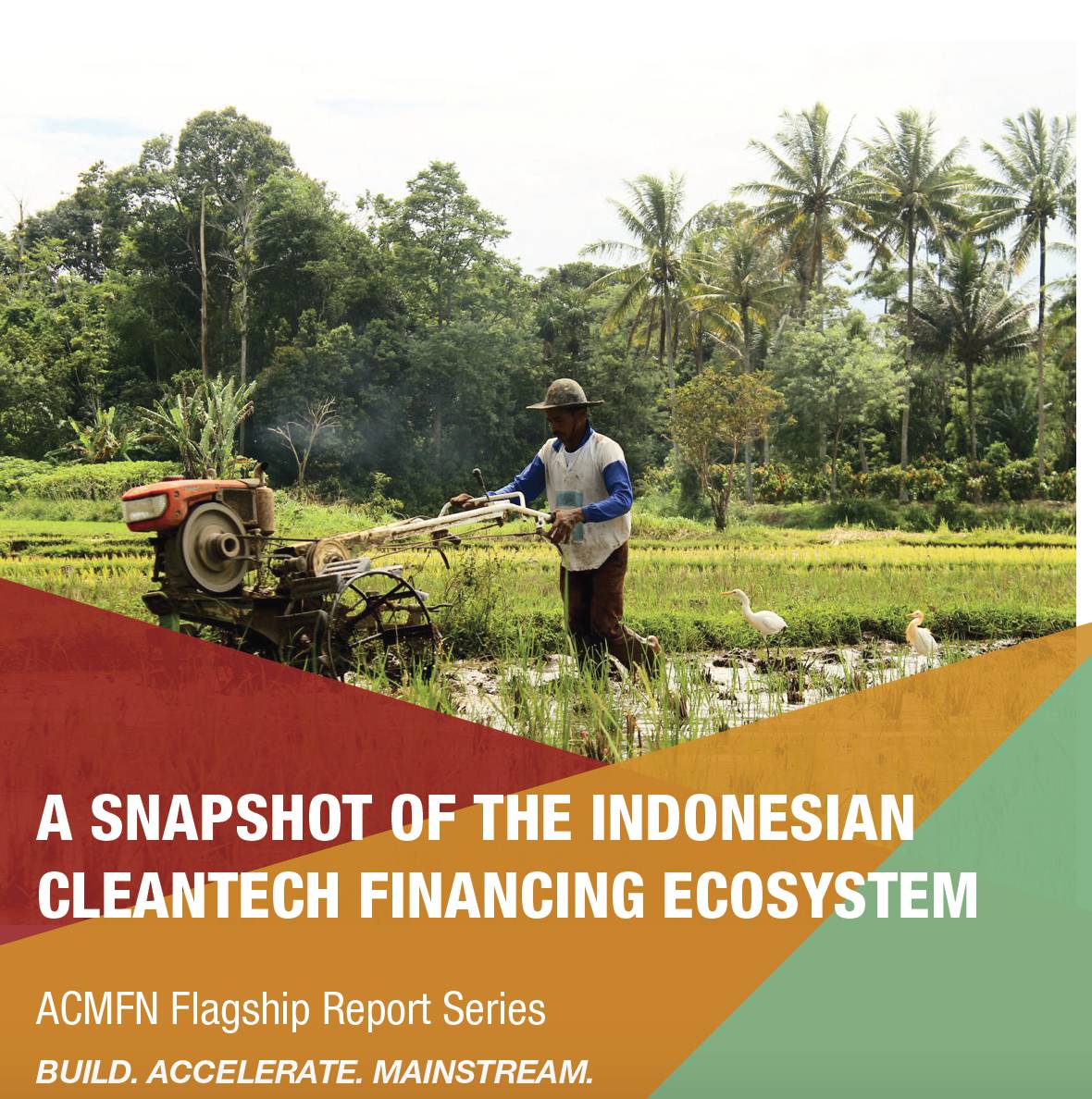 ACMFN Flagship Report Series - Indonesia