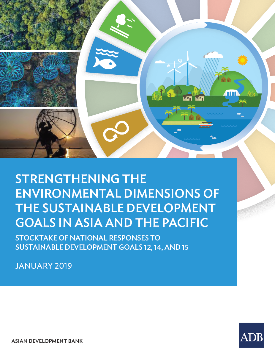 Strengthening the Environmental Dimensions of the SDGs in Asia and the ...