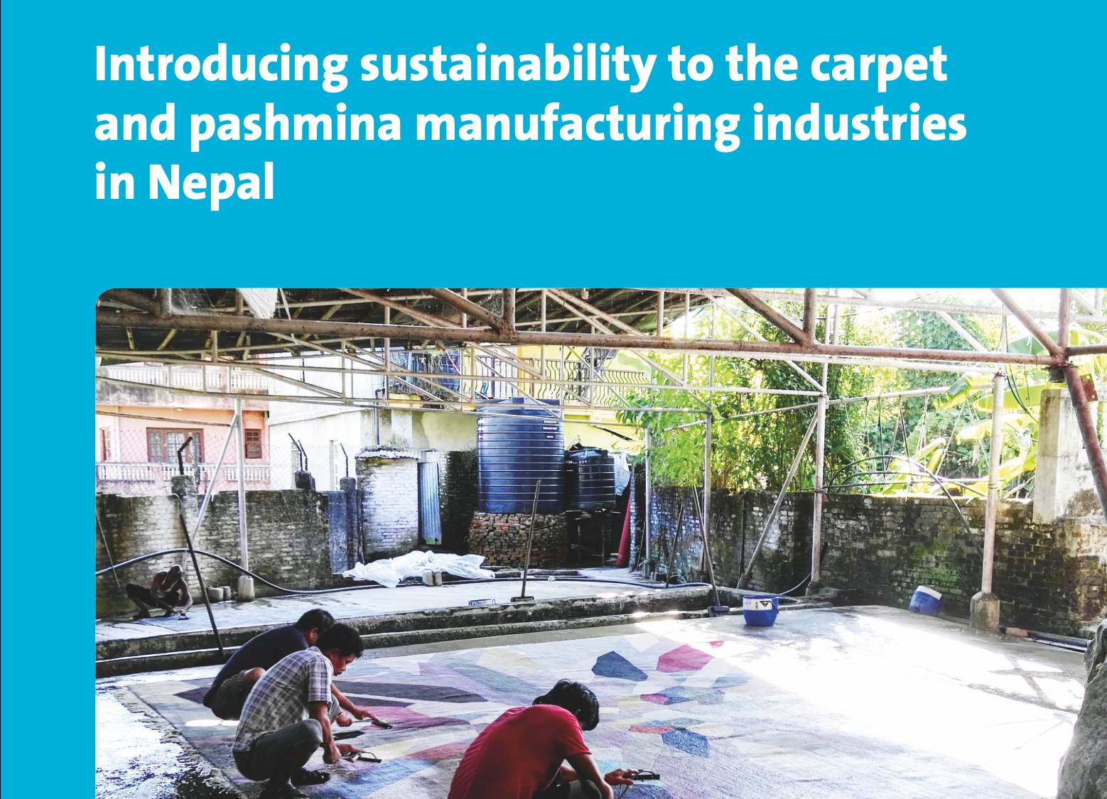 Impact Sheet: Sustainable Carpet and Pashmina