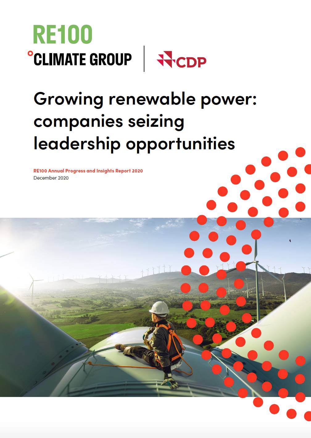 Growing renewable power: companies seizing leadership opportunities