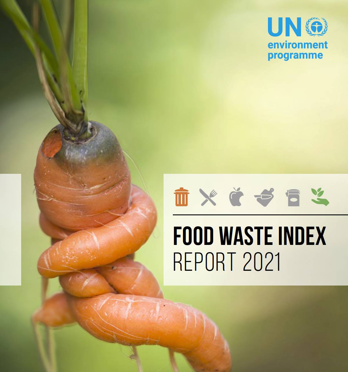 Food Waste Index 2021