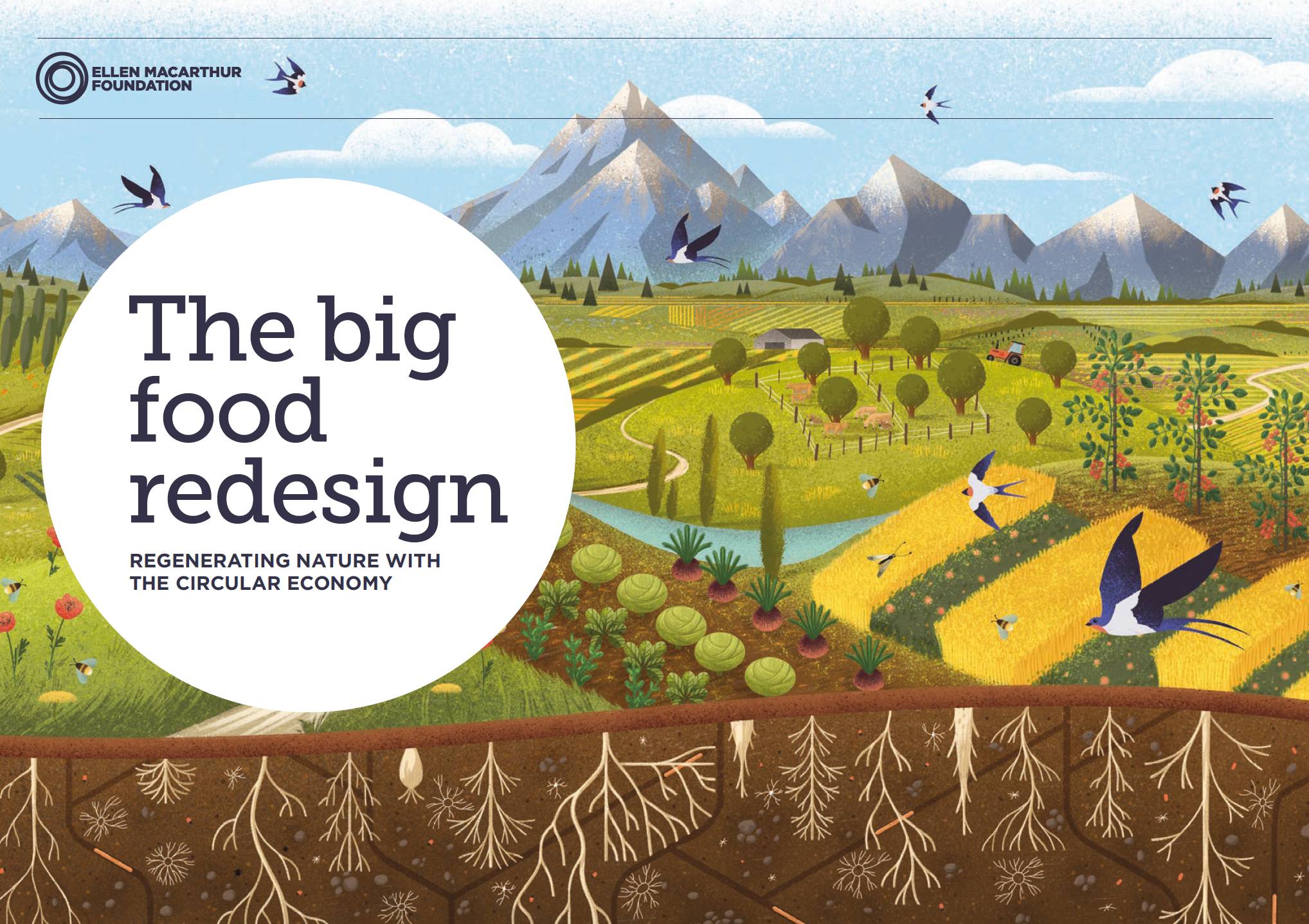 The Big Food Redesign