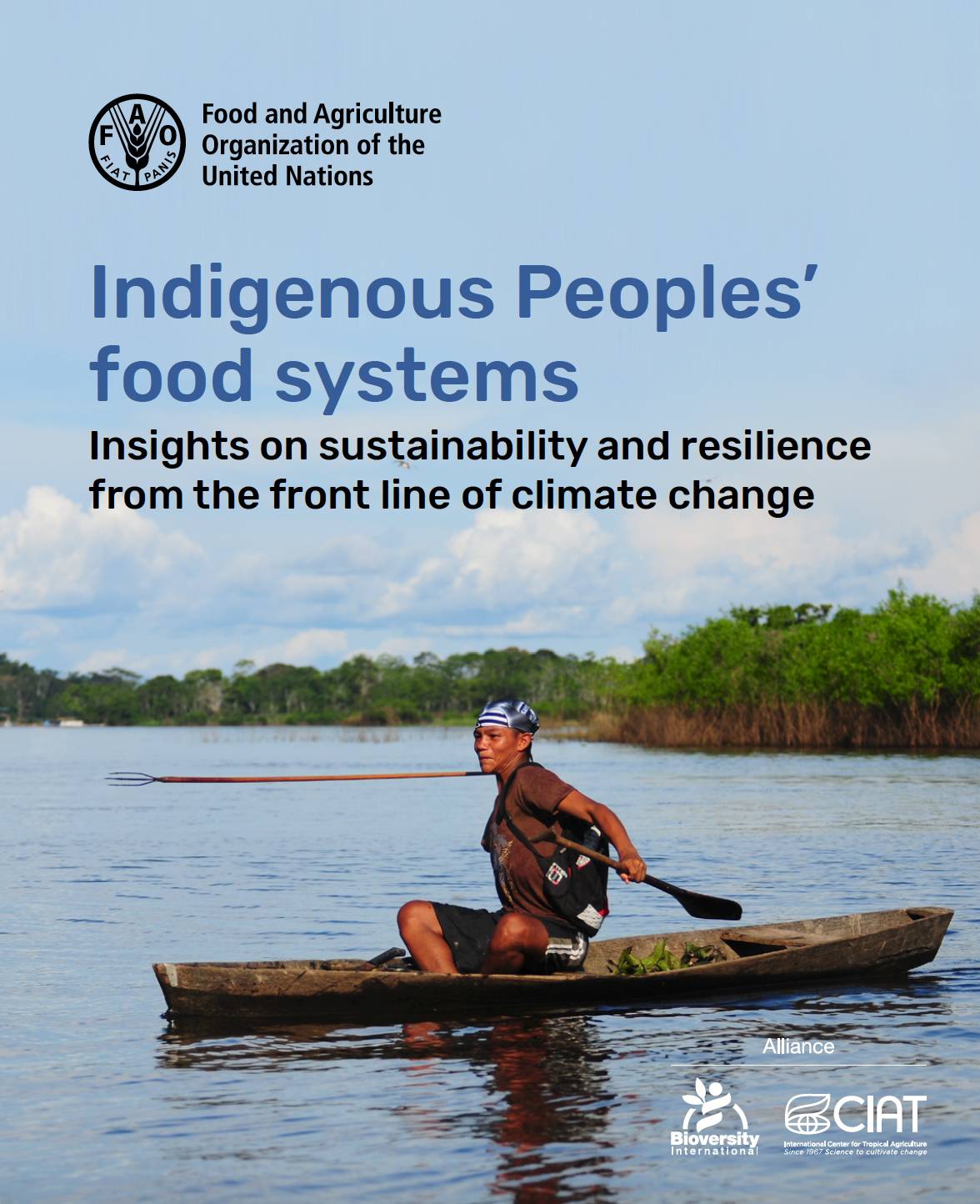 Indigenous Peoples’ food systems