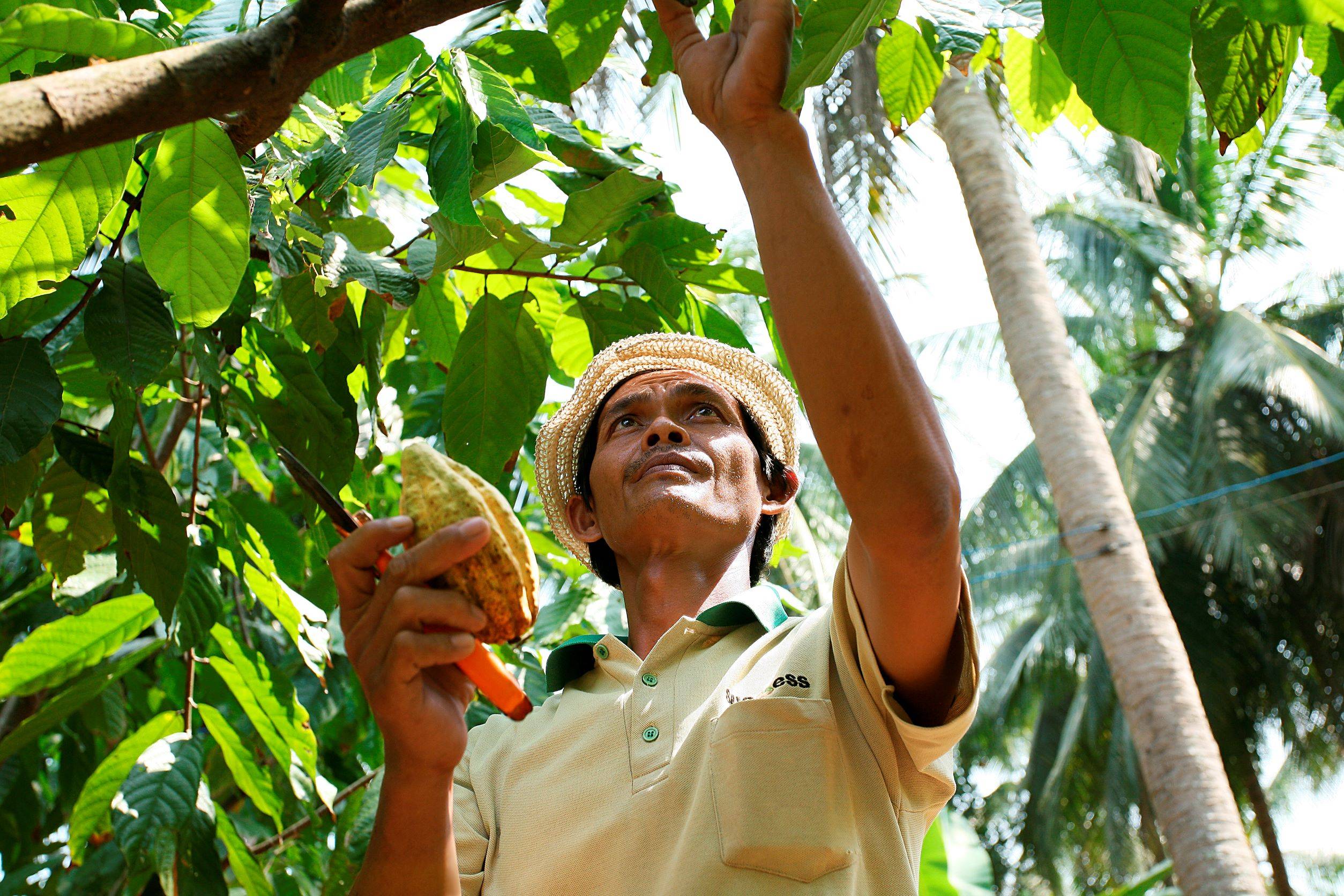 Circular Economy Cocoa: From Bean to Bar