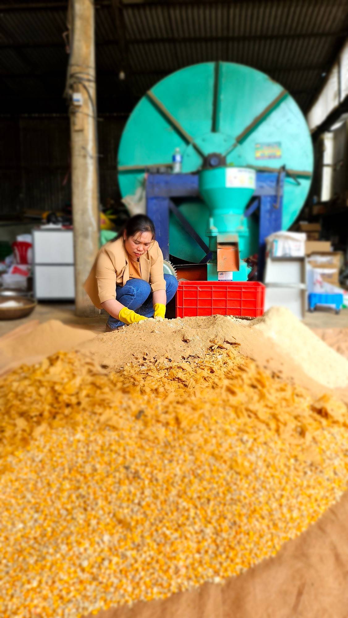 Circular Economy Cocoa: From Bean to Bar