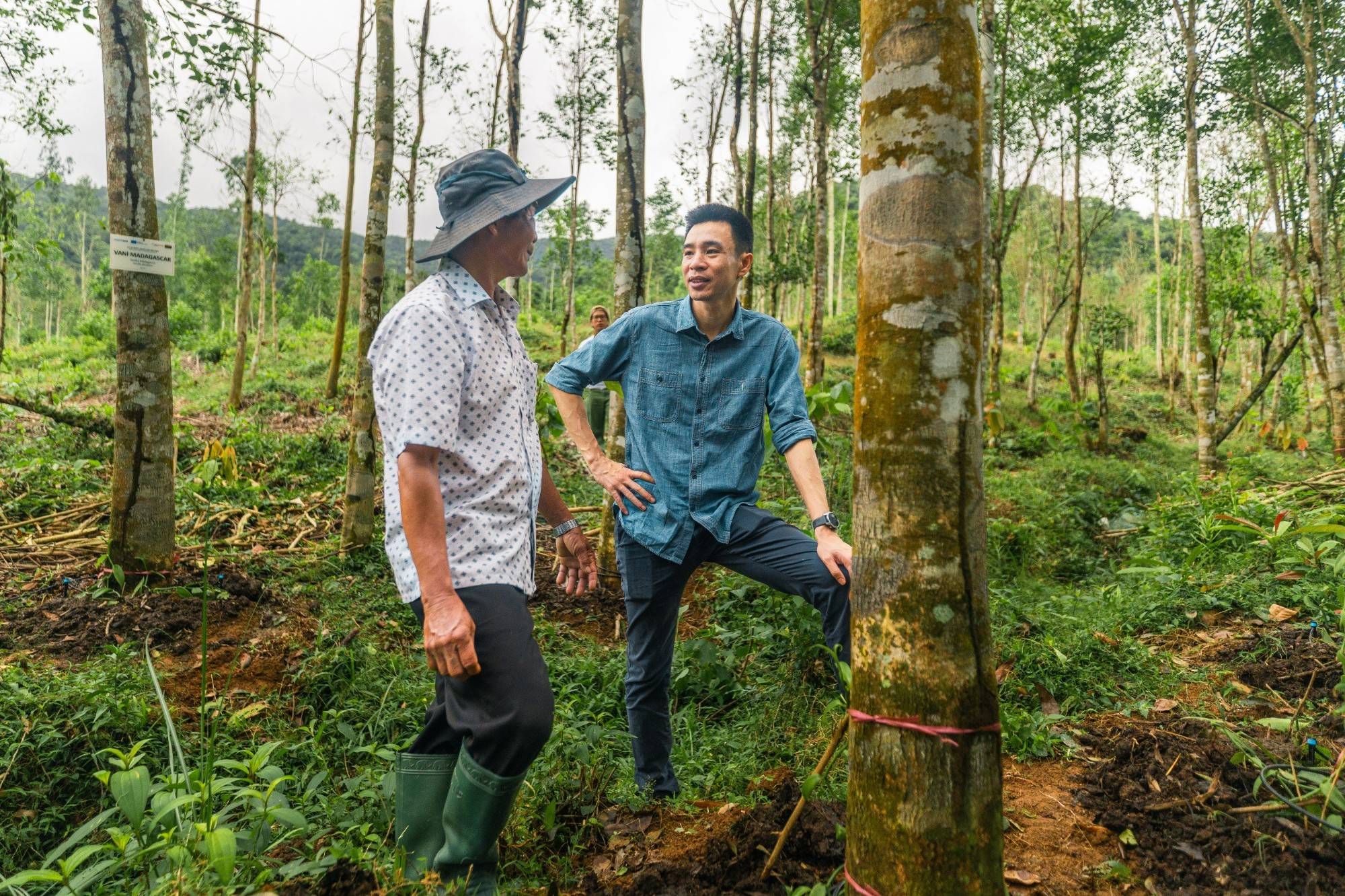 Circular Economy Cocoa: From Bean to Bar