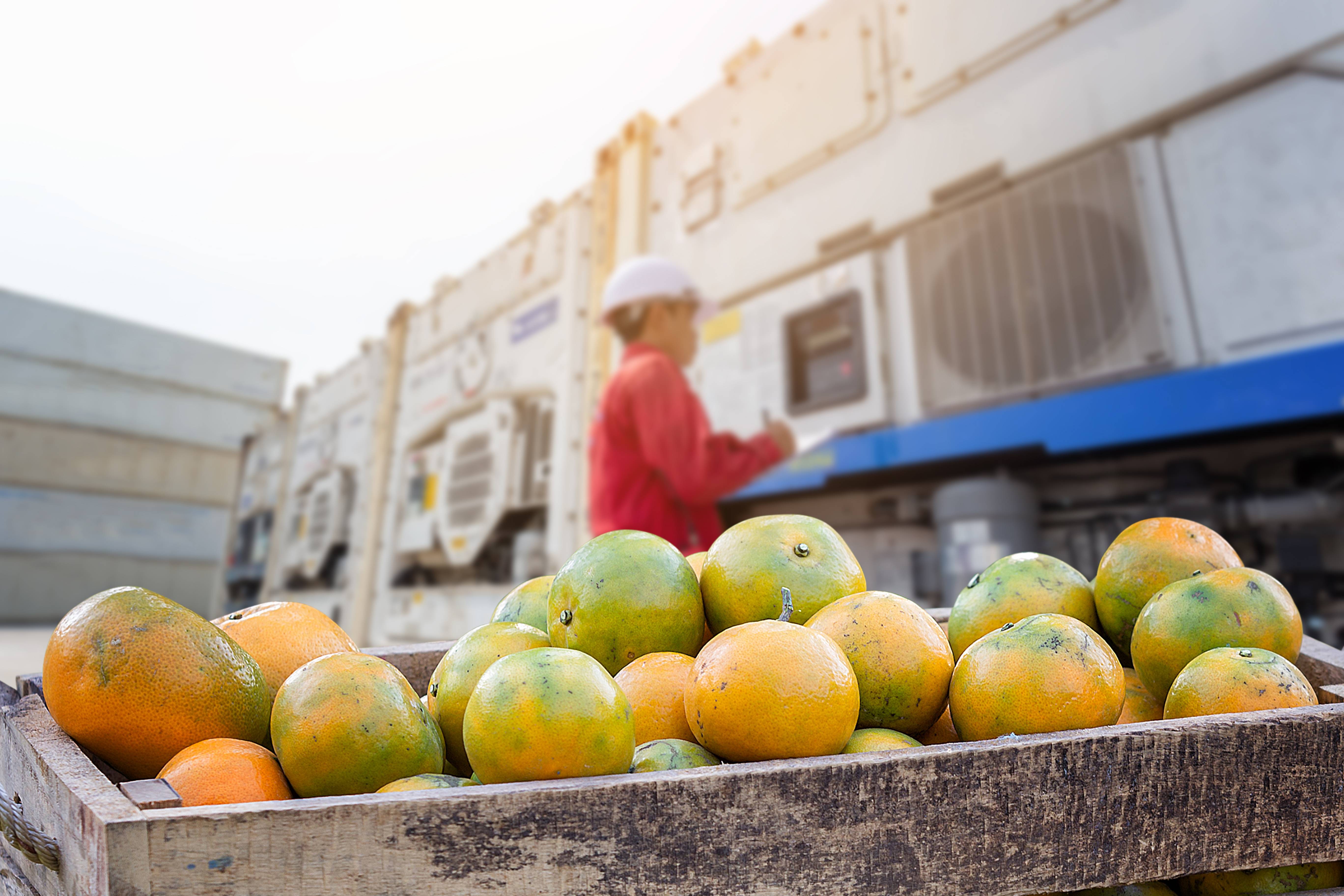 eECHO: Towards Energy Efficiency in AgriFood Cold Chain Logistic in China