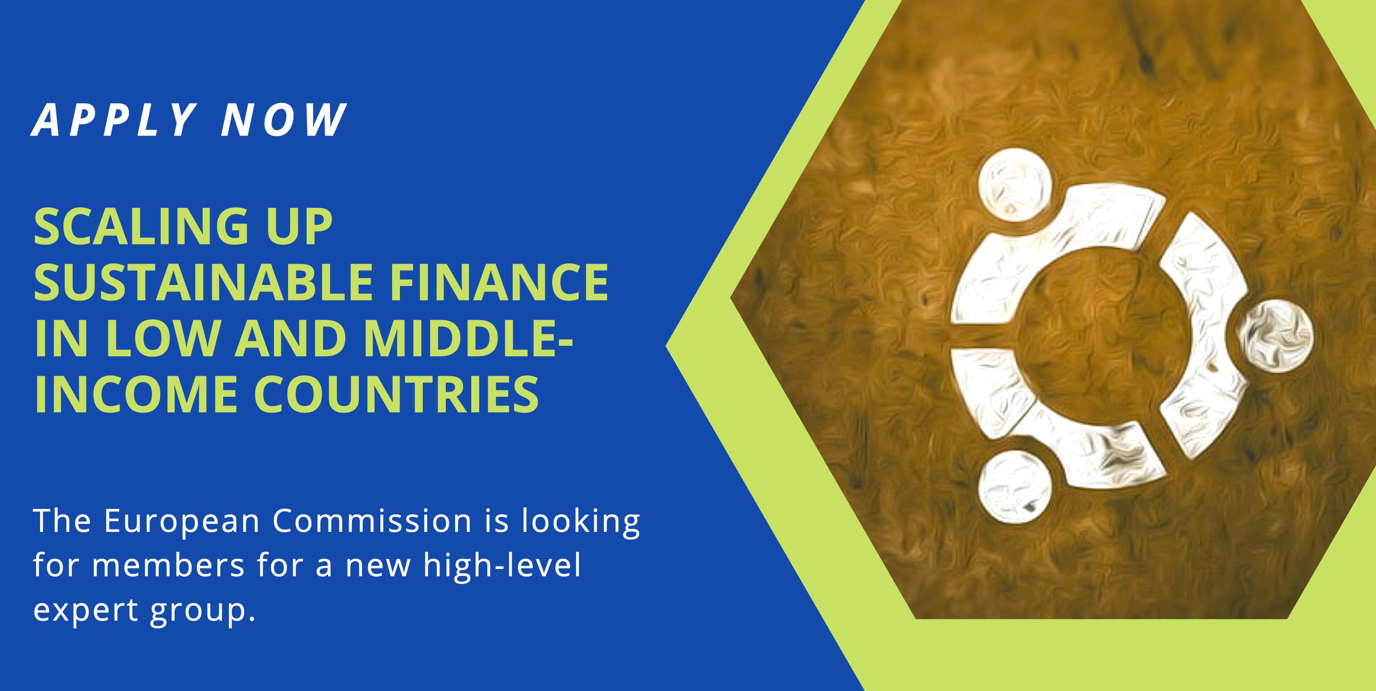 Scaling up Sustainable Finance in Low and Middle-Income Countries