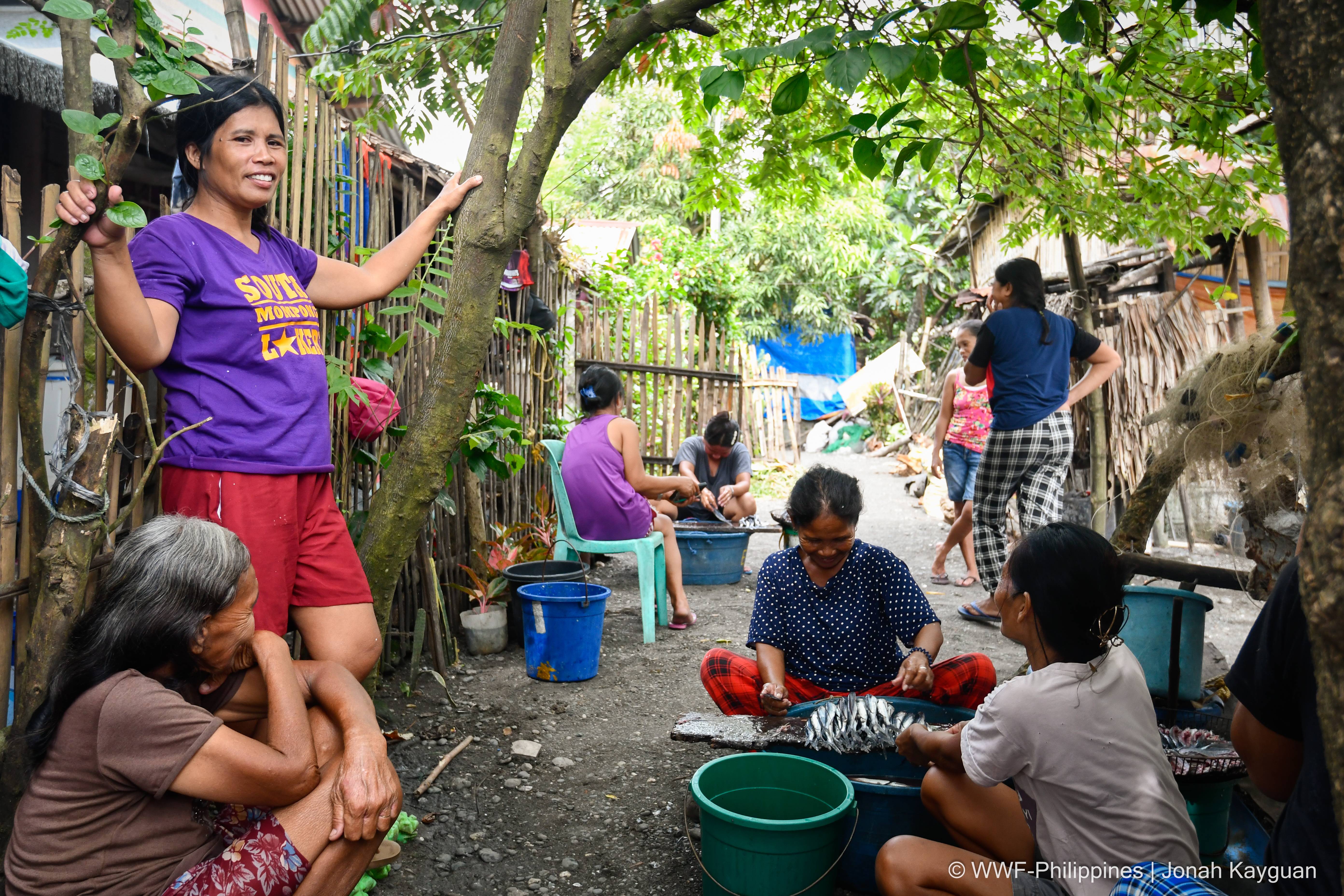 Mindoro Strait Sustainable and Equitable Tuna for Bankability (MS-SETB)
