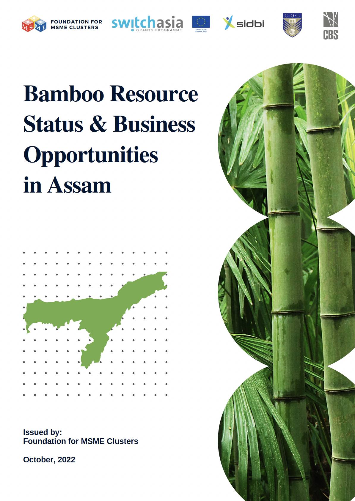 Bamboo Resource Status & Business Opportunities in Assam