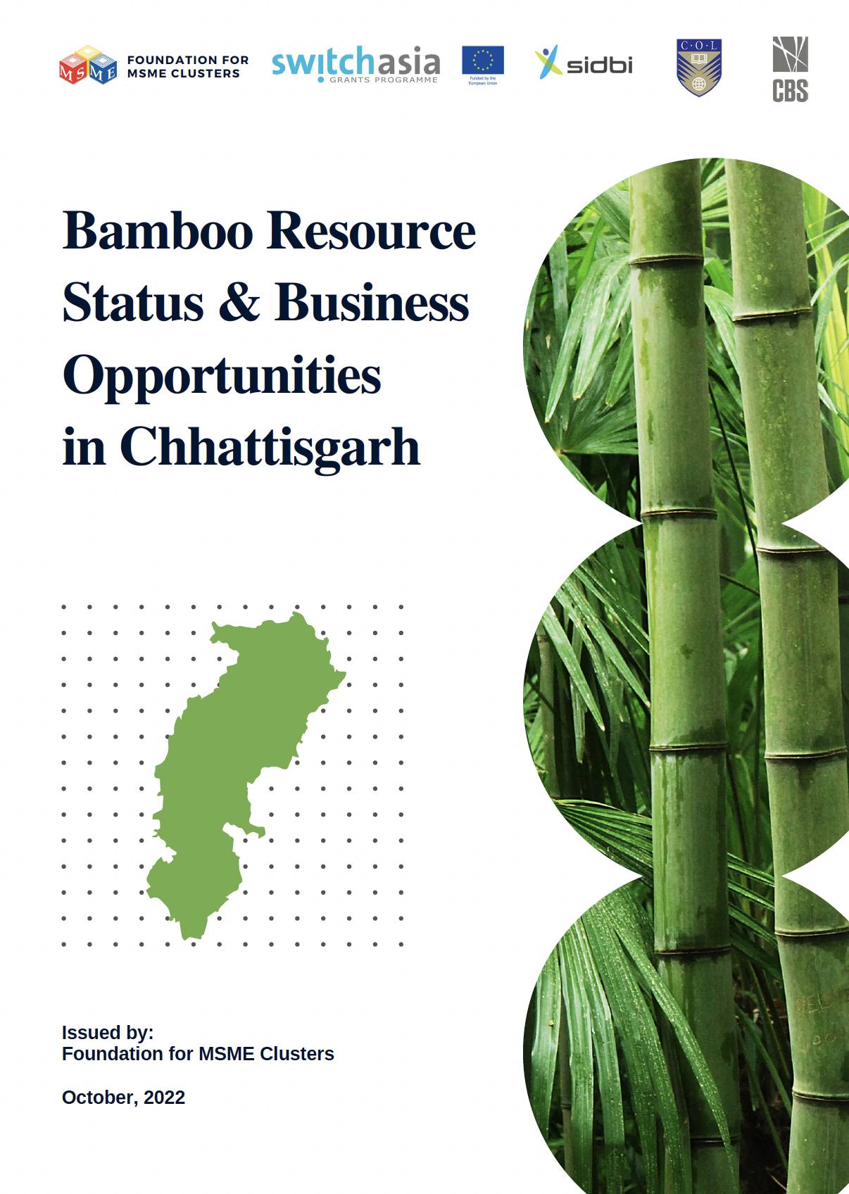Bamboo Resource Status & Business Opportunities in Chhattisgarh