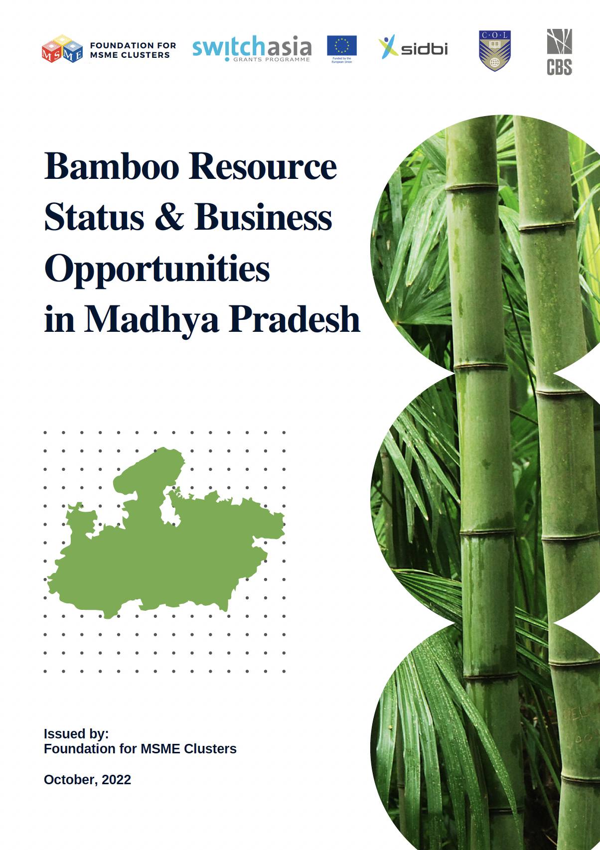 Bamboo Resource Status & Business Opportunities  in Madhya Pradesh