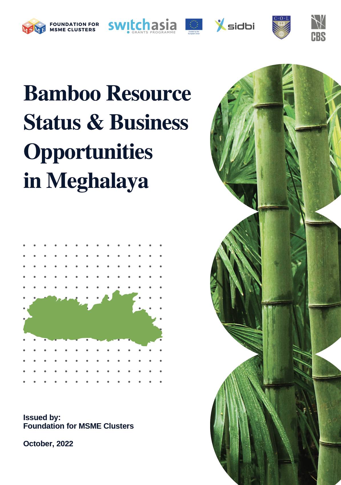 Bamboo Resource Status & Business Opportunities in Meghalaya