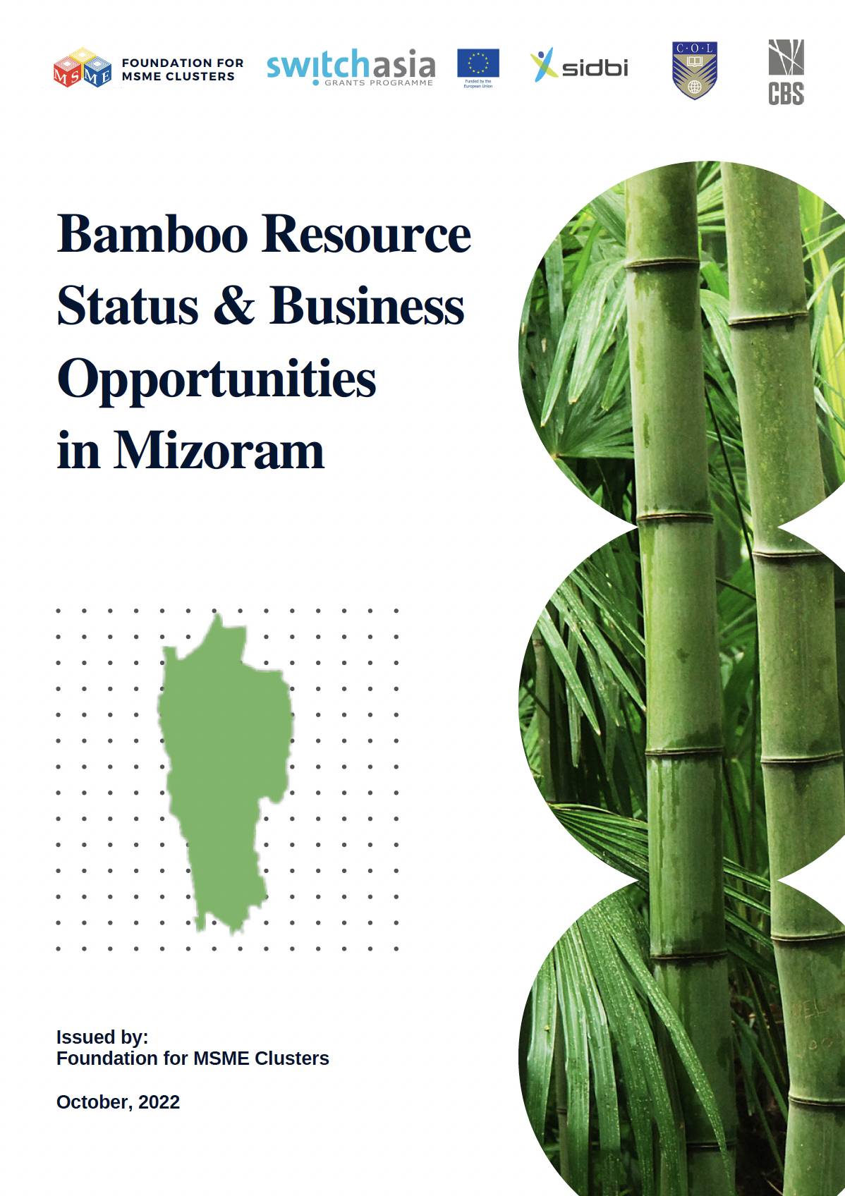 Bamboo Resource Status & Business Opportunities in Mizoram