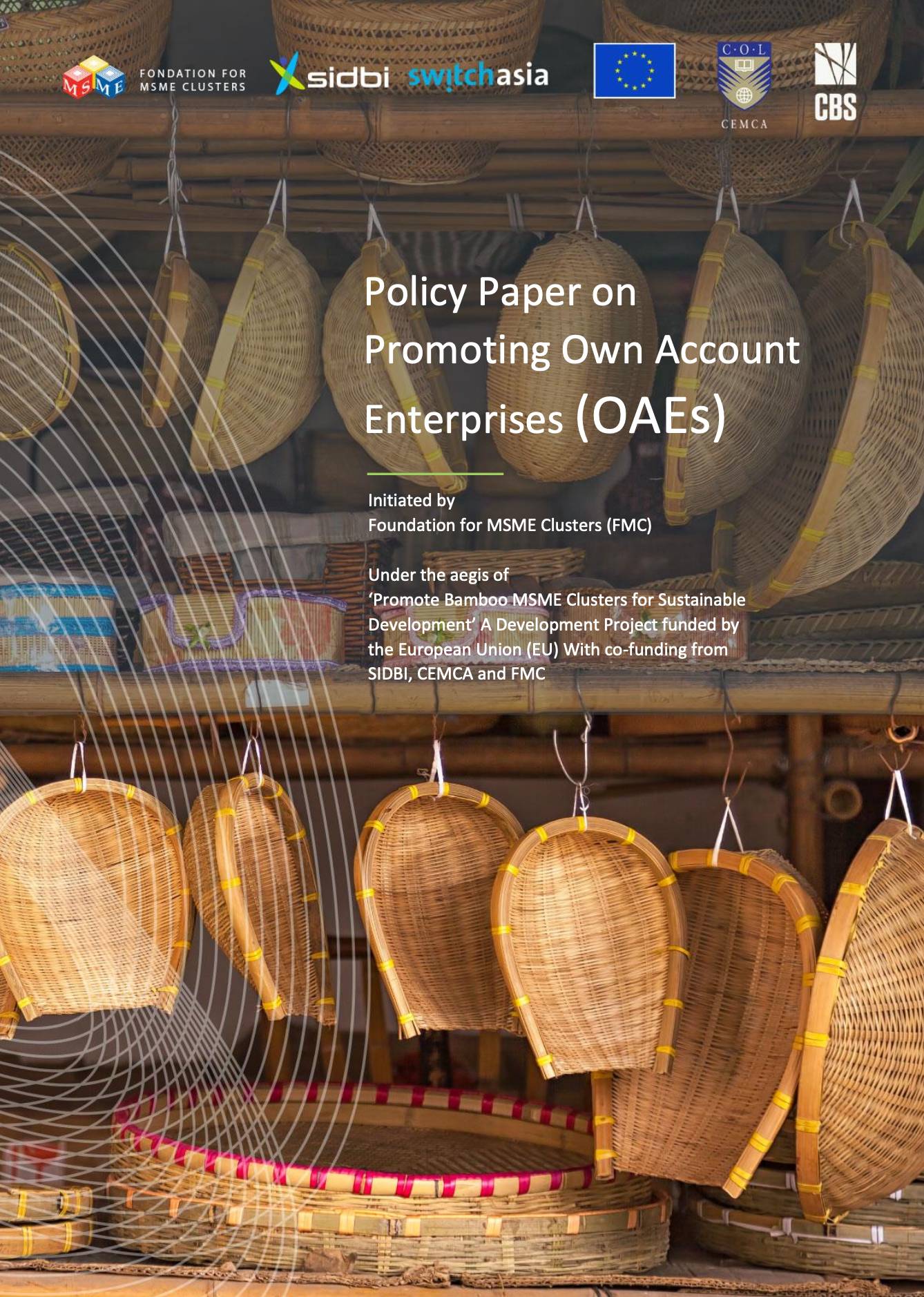 Policy Paper on Promoting Own Account Enterprises (OAEs)