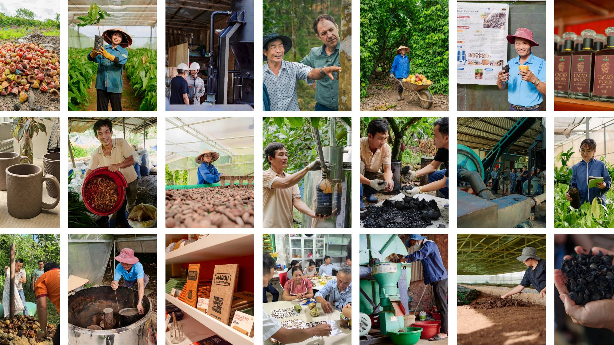 Circular Economy in Action: Pioneering Sustainable Cocoa Value Chains in Vietnam