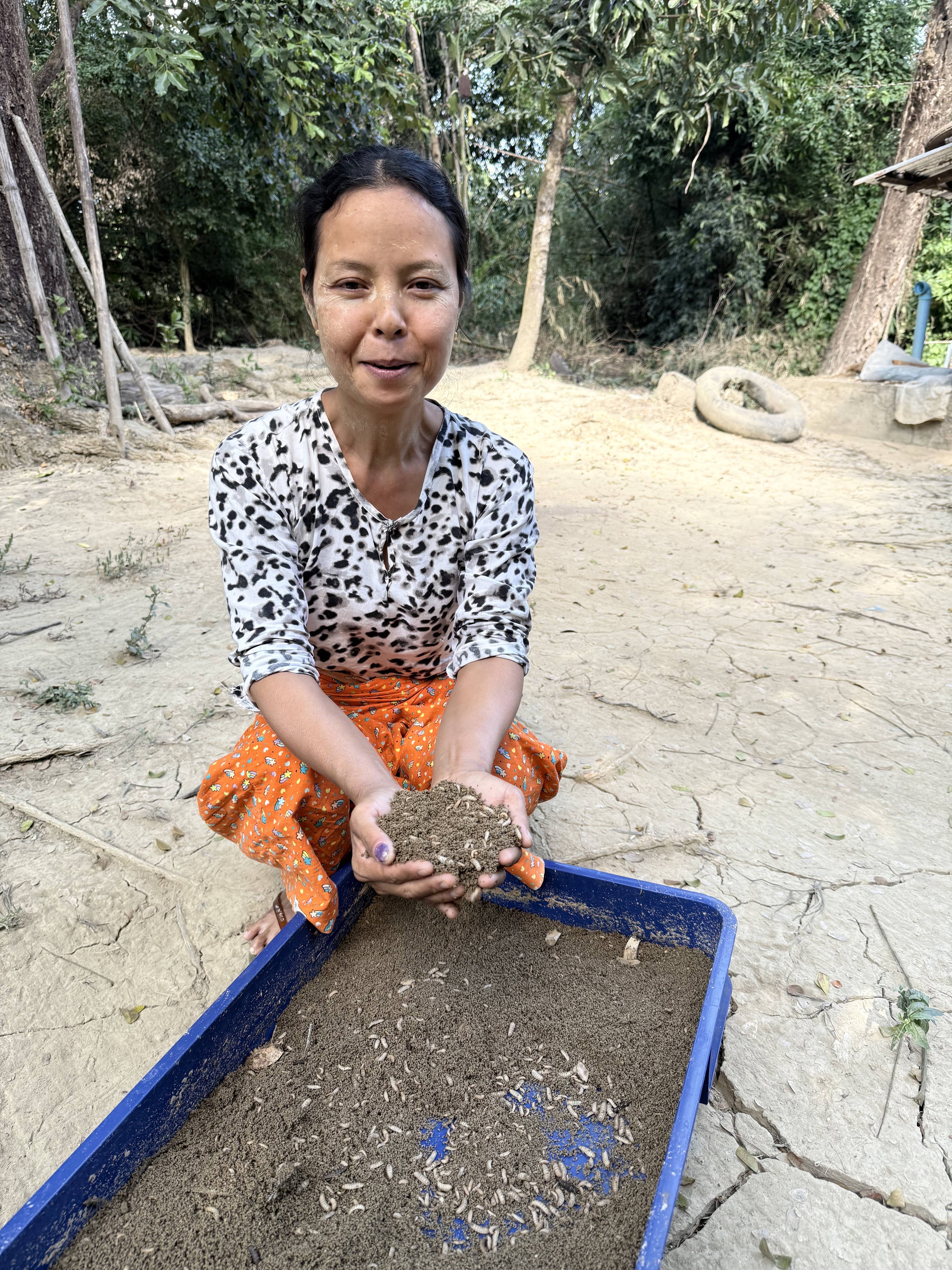 Sein-Lan Myanmar: Strengthening Circular Economy in Animal Feed Value Chain in Myanmar