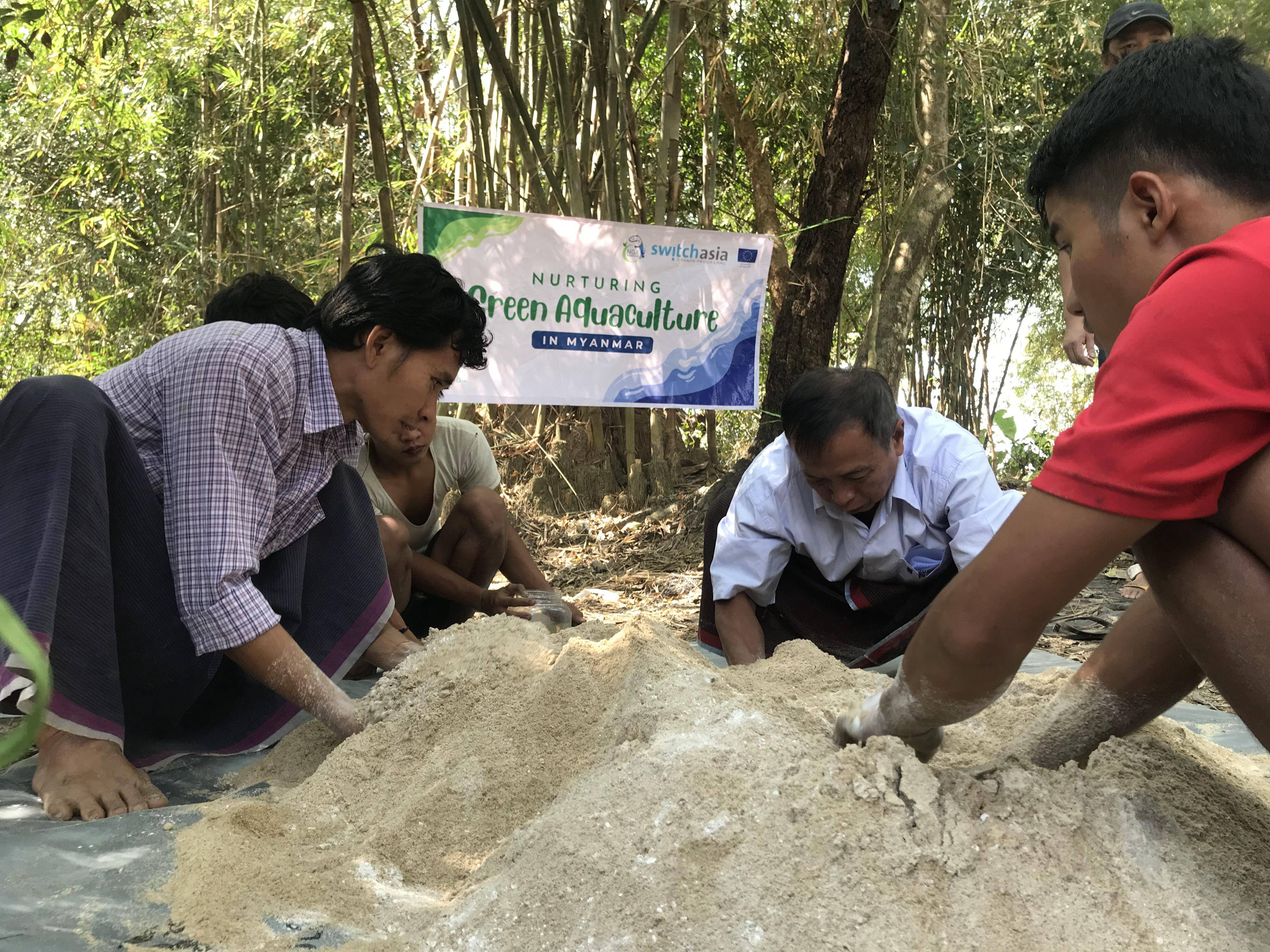 Sein-Lan Myanmar: Strengthening Circular Economy in Animal Feed Value Chain in Myanmar