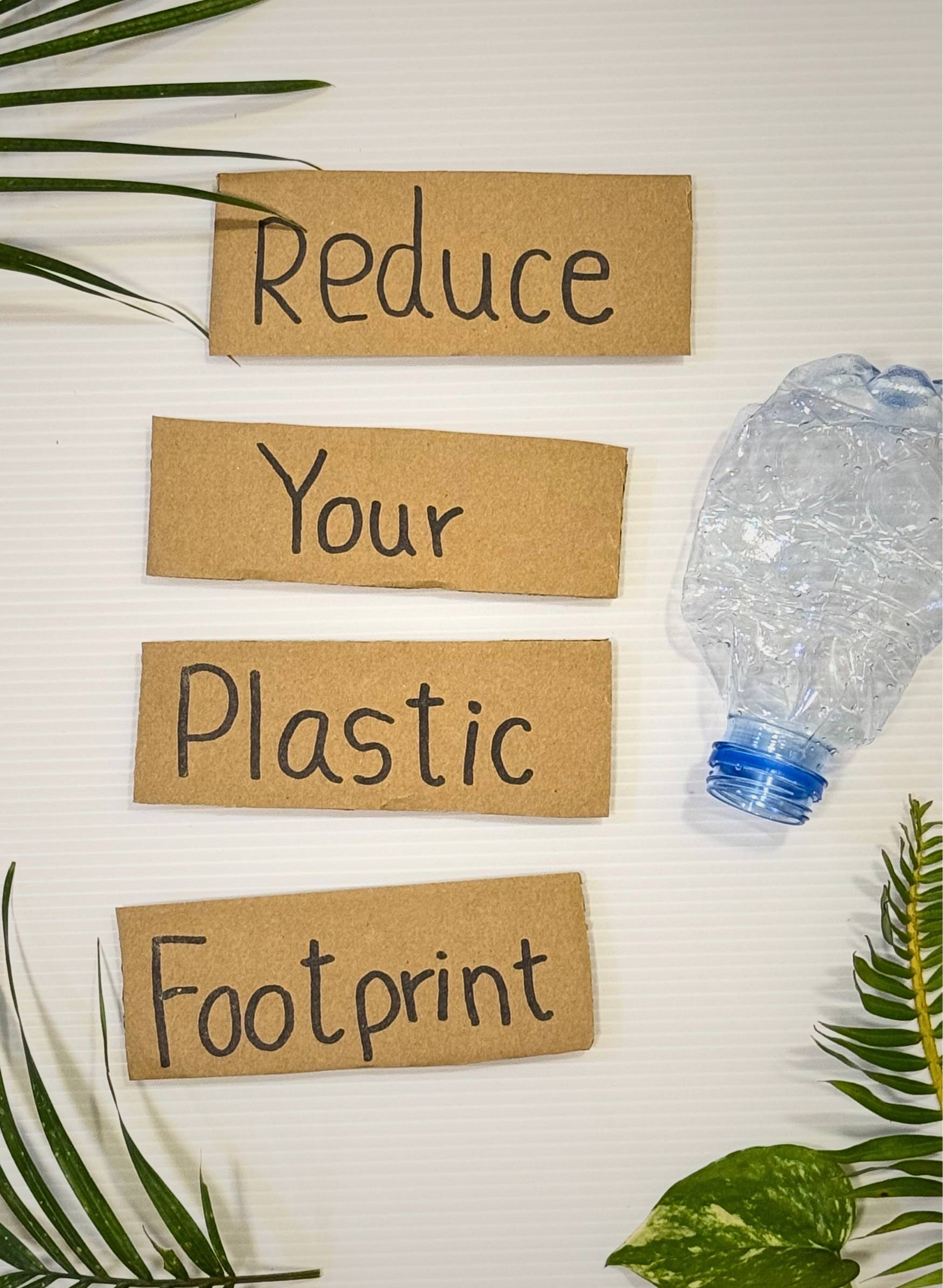 Empowering to Act for Circular Transition in Plastics in Lao PDR (EMP-ACT)