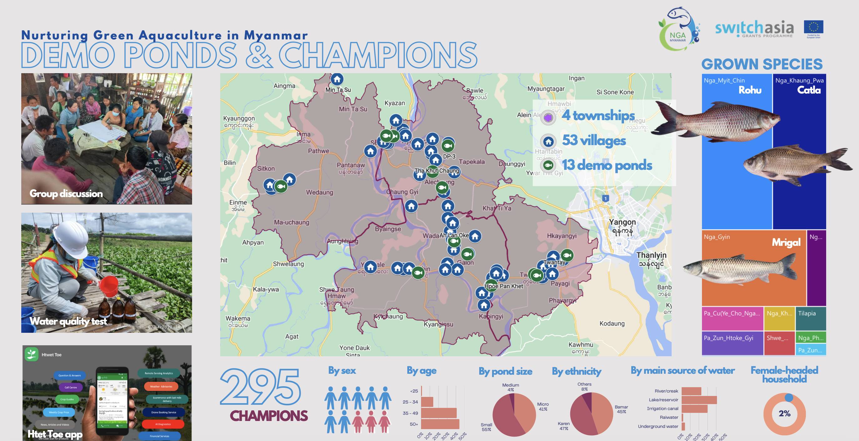 Demo Ponds & Champions Infographic (English)