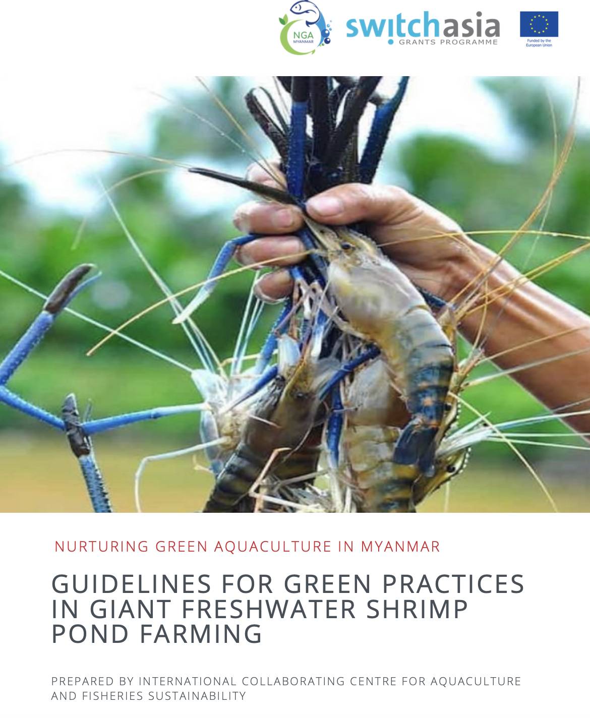 Guidelines for Green Practices in Giant Freshwater Shrimp Pond Farming (English)
