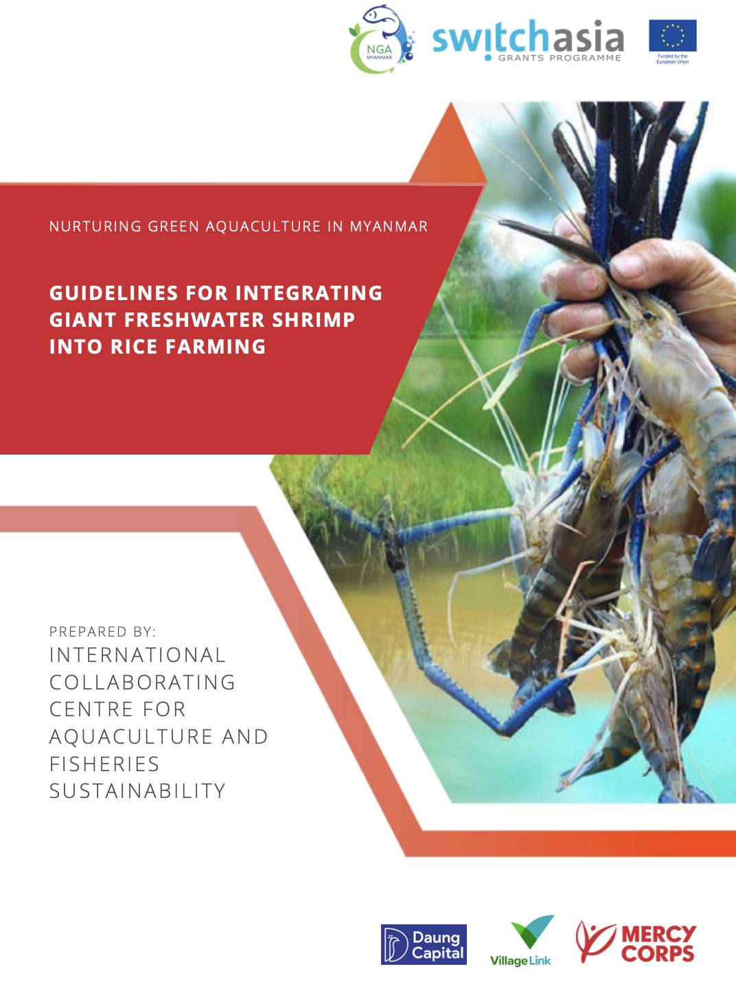 Guidelines for Integrating Giant Freshwater Shrimp into Rice Farming (English)