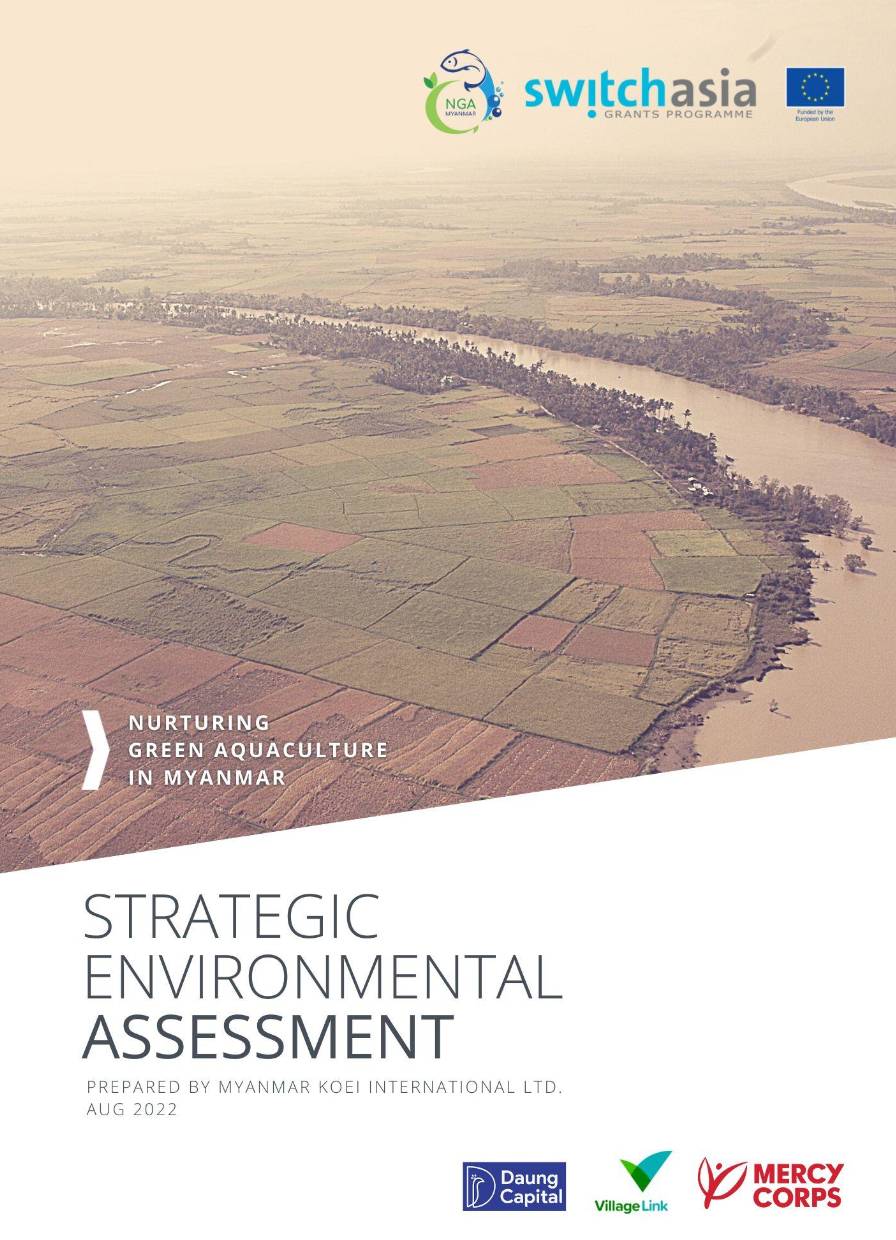 Strategic Environmental Assessment (English)