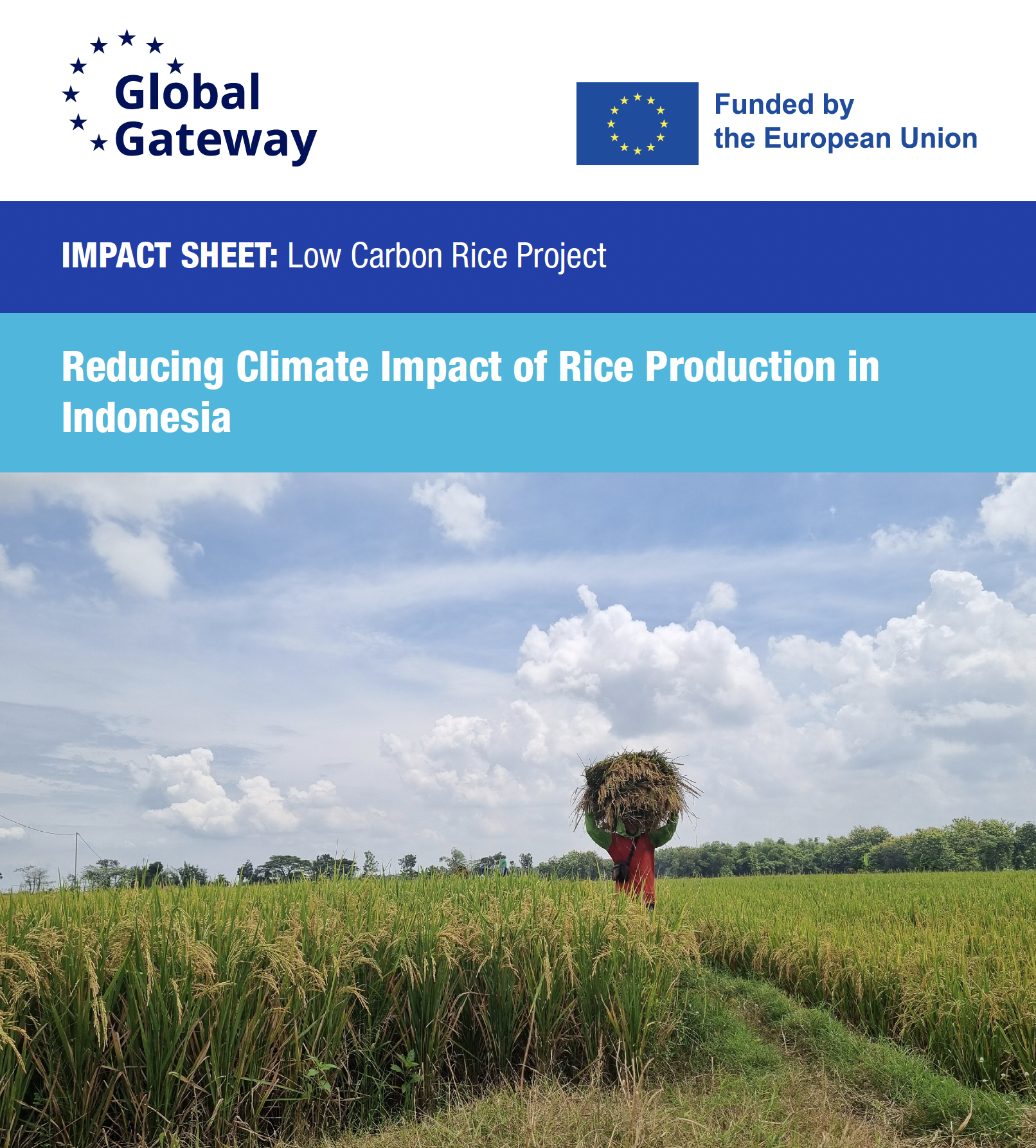 Impact Sheet: Low Carbon Rice › | SWITCH-Asia